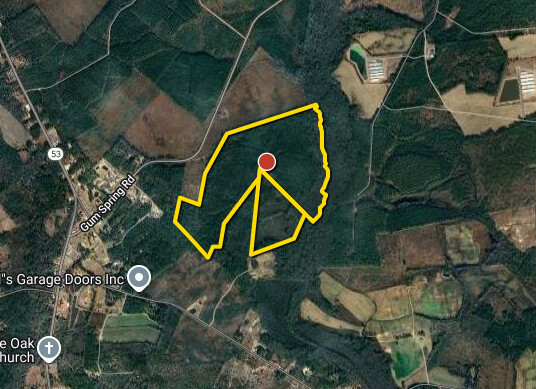 2321 Pitkin Ave, Brooklyn, NY, 11207