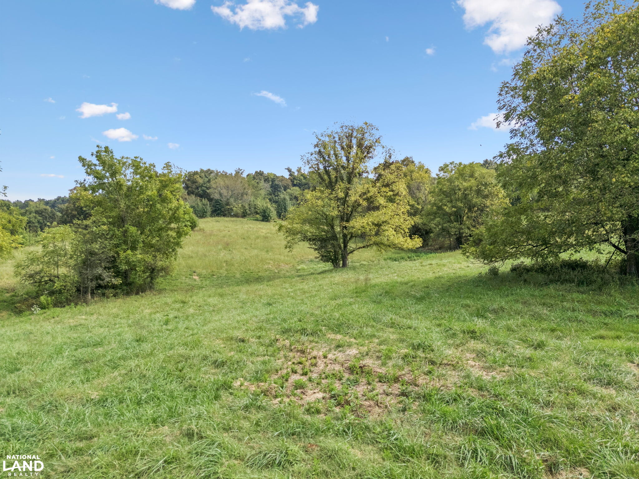 Shoal Creek Ridge Lot 15 in Giles County, Tennessee (14 Photos ...