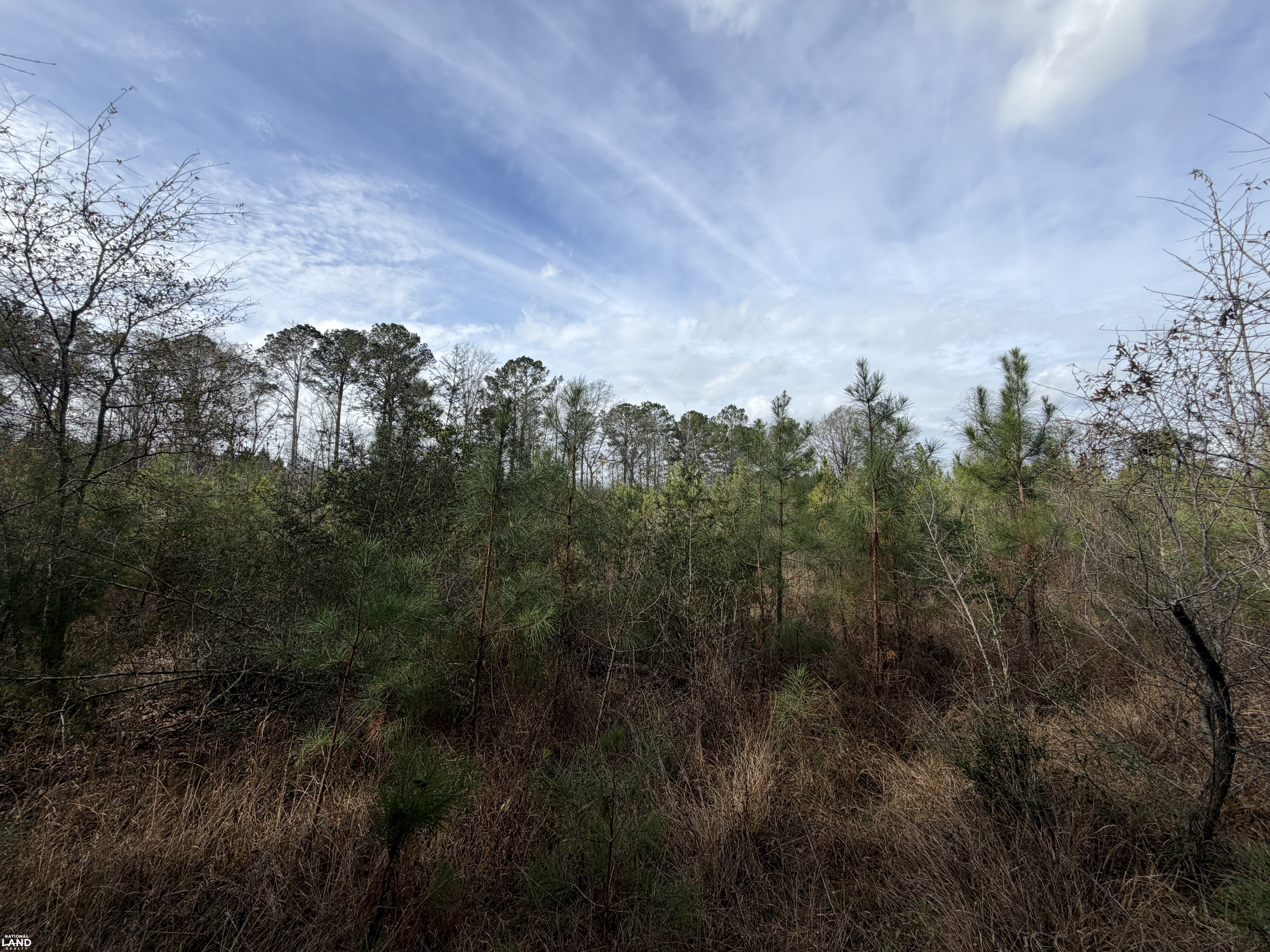 County Road 239 Rural Homesite & Recreational Tract in Coffee County ...