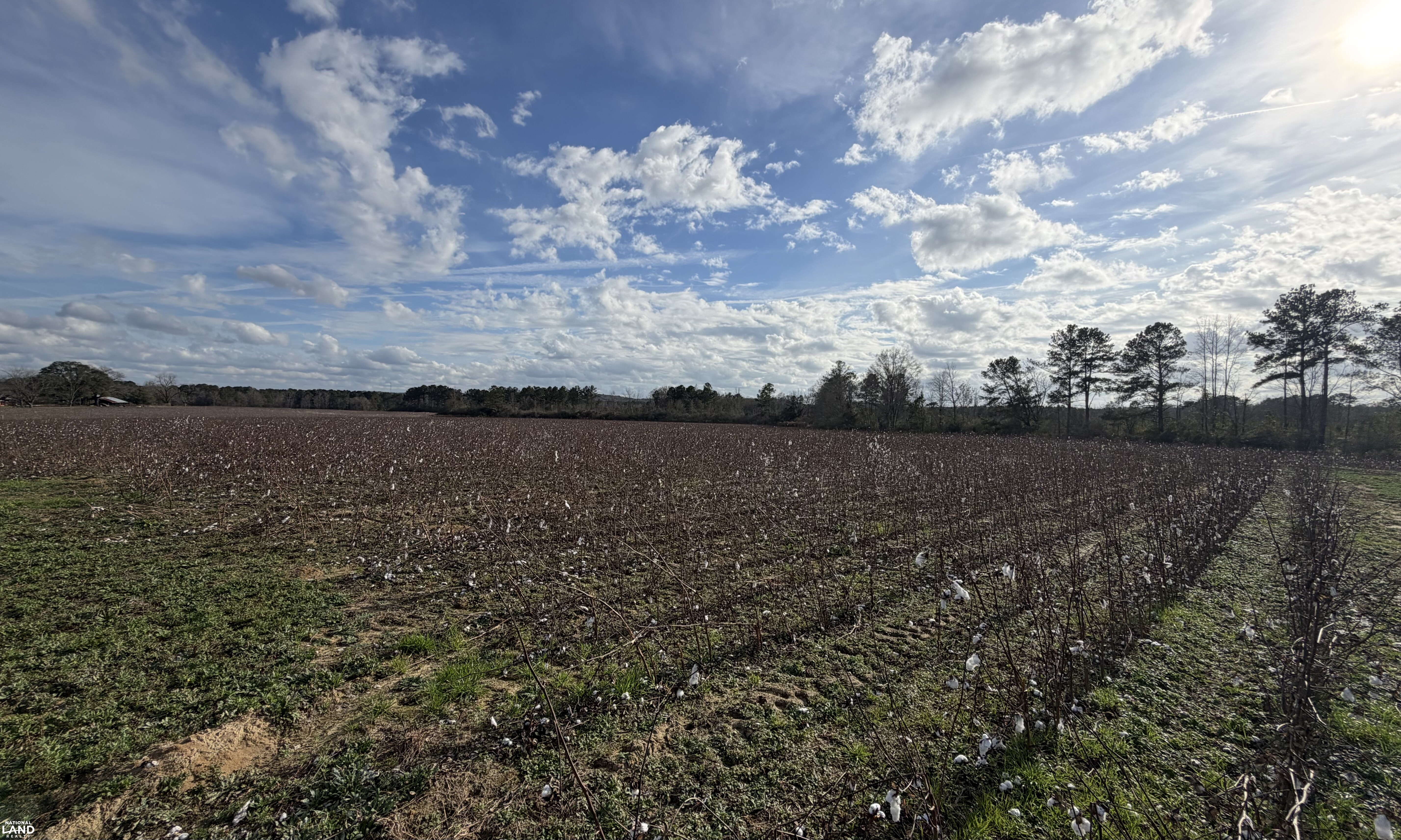 County Road 223 Rural Homesite in Coffee County, Alabama (11 Photos ...