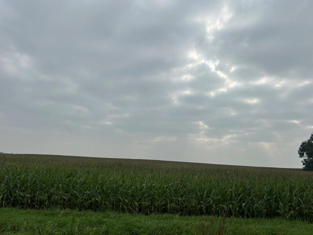 1st Street Howard Beach, Queens, NY, 11414