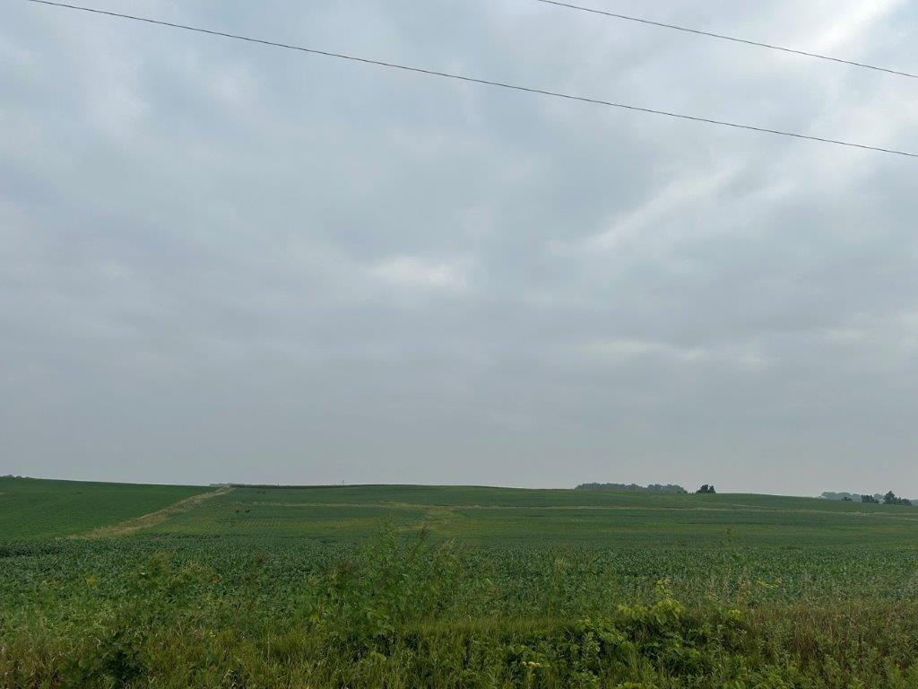 2321 Pitkin Ave, Brooklyn, NY, 11207