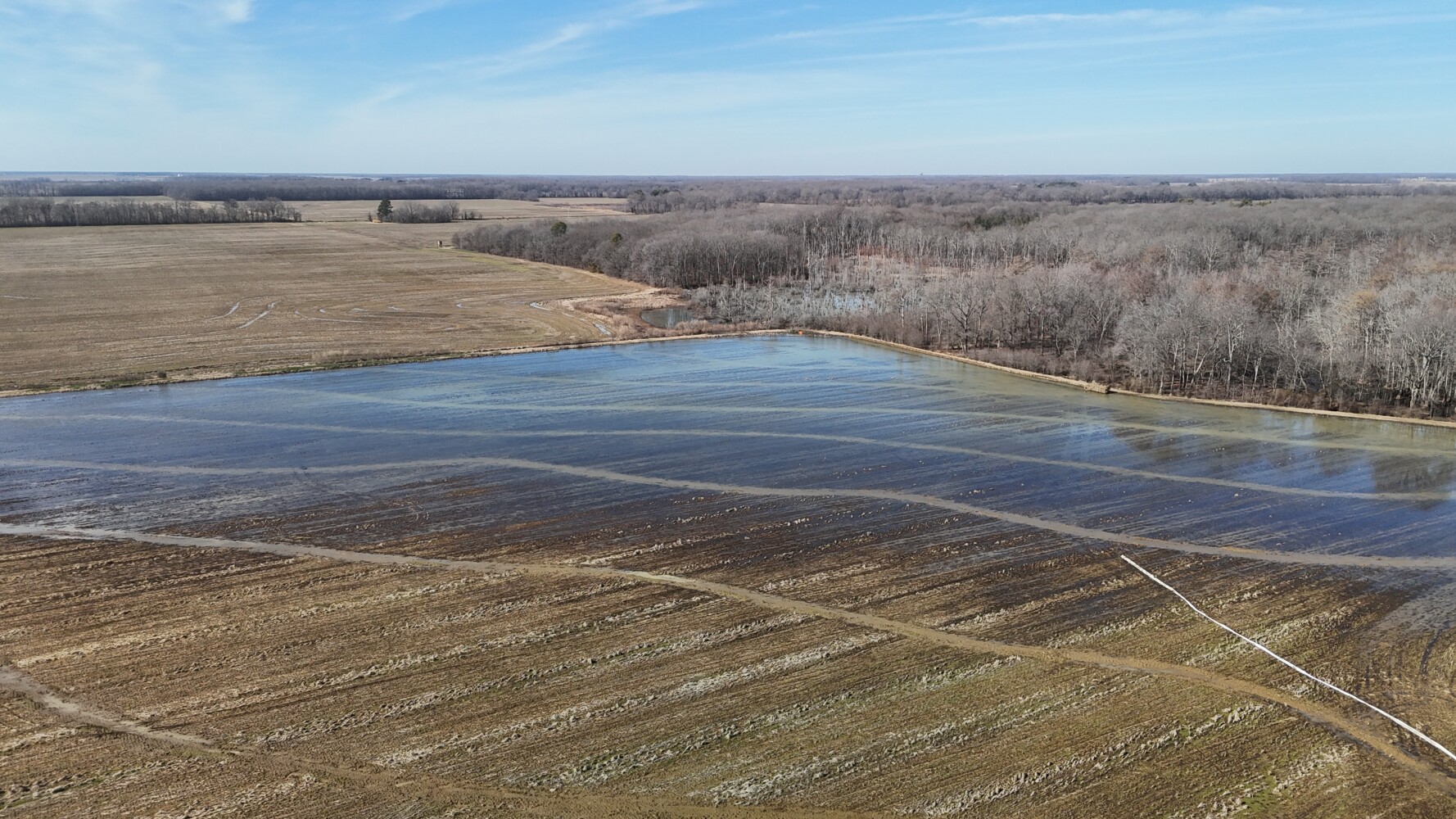 313-315 Clermont Ave UNIT&nbsp;5 and 9, Brooklyn, NY, 11205