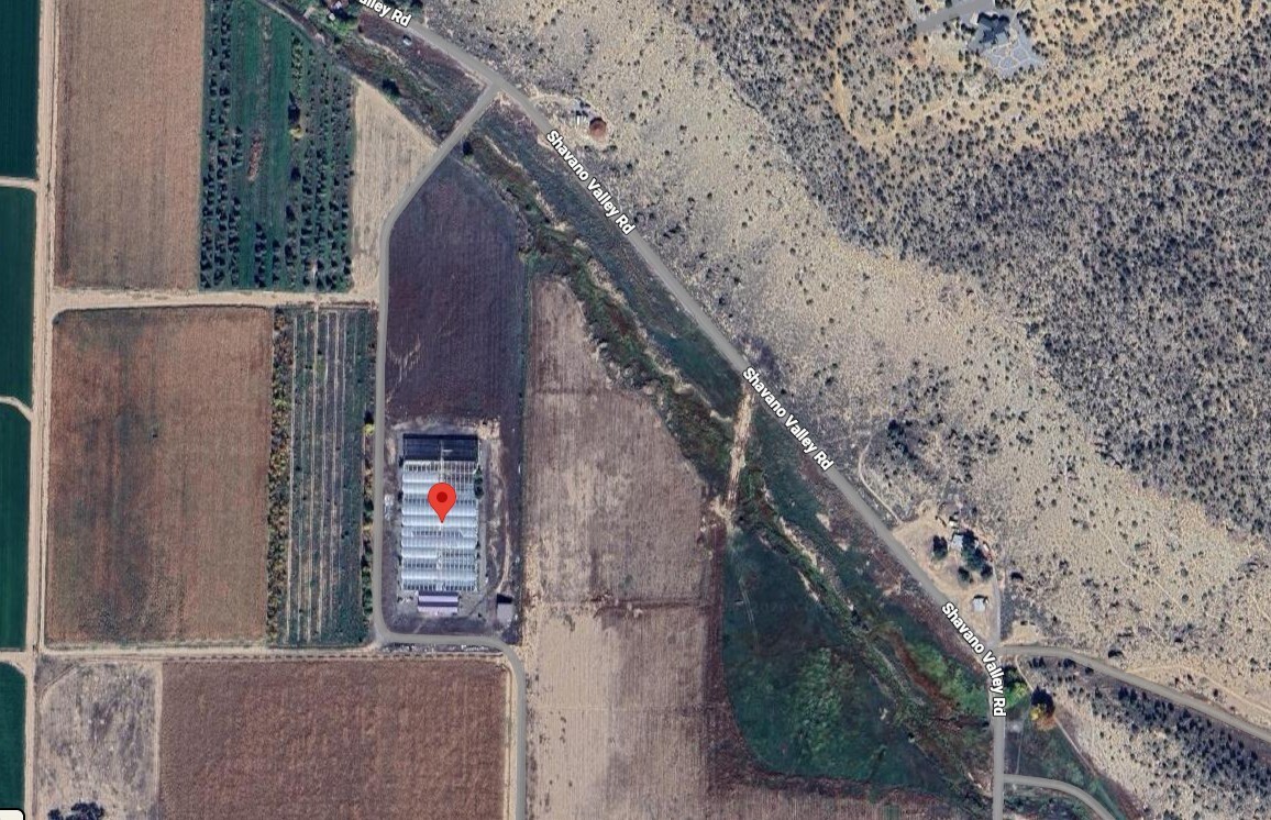 2321 Pitkin Ave, Brooklyn, NY, 11207