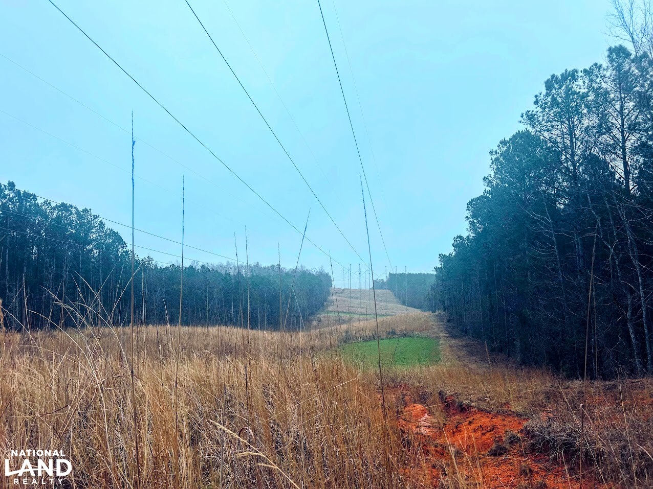 Limestone Ridge Power Line Powerline Ridge Preserve in Baldwin County, Georgia (20 Photos ...
