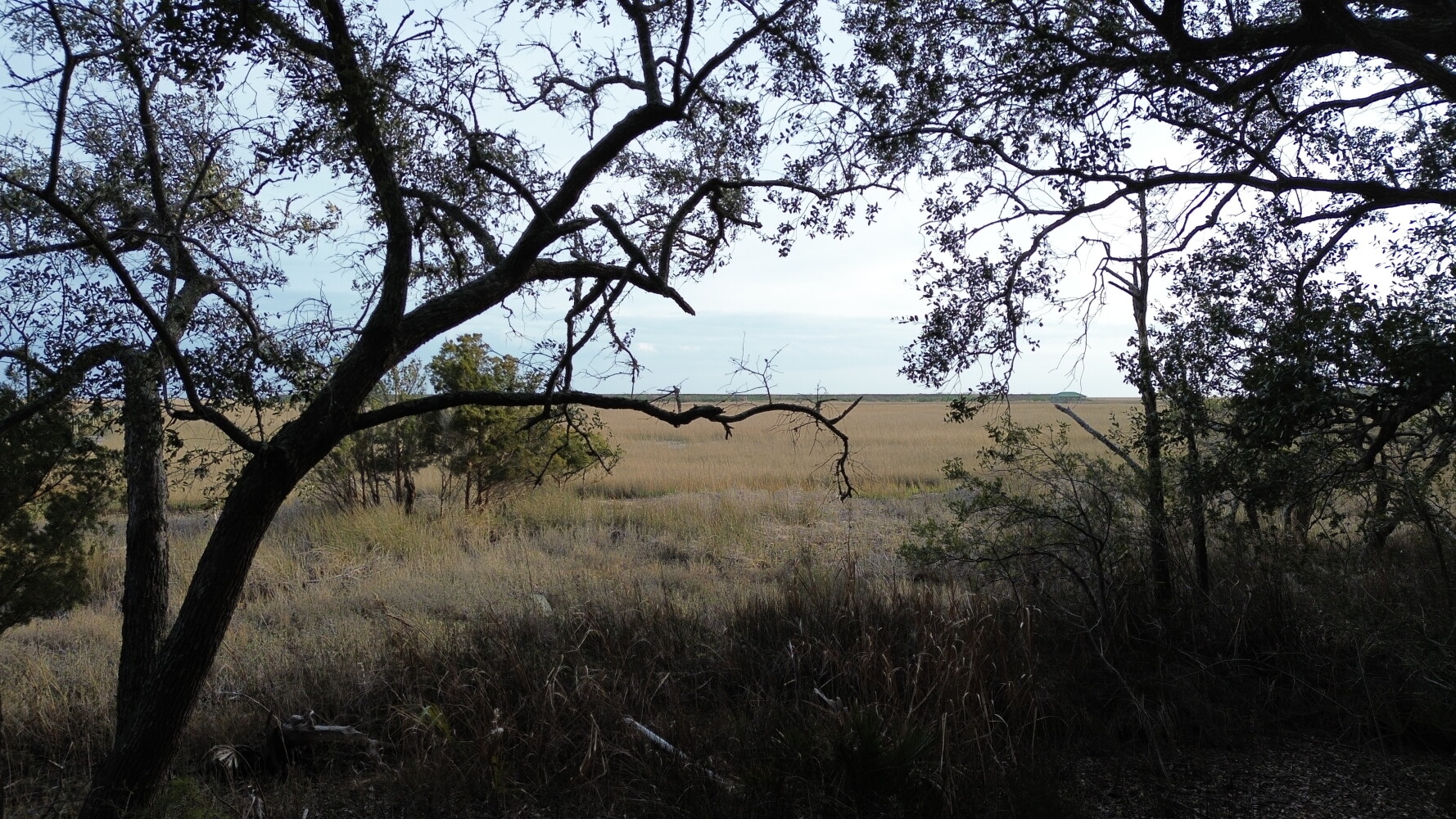 1st Street Howard Beach, Queens, NY, 11414