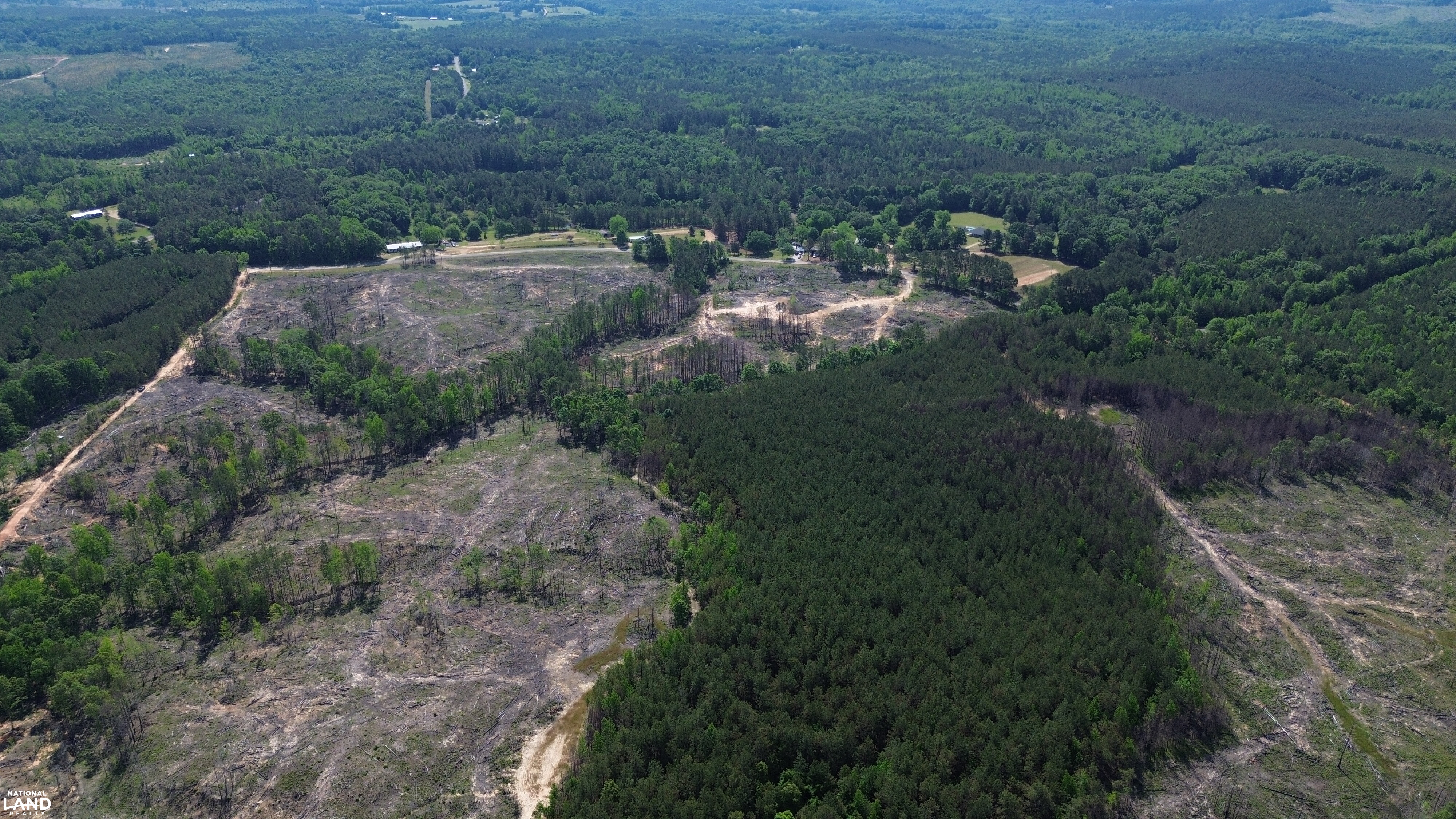 Tree Farm Road in Lamar County, Alabama (31 Photos) | National Land Realty