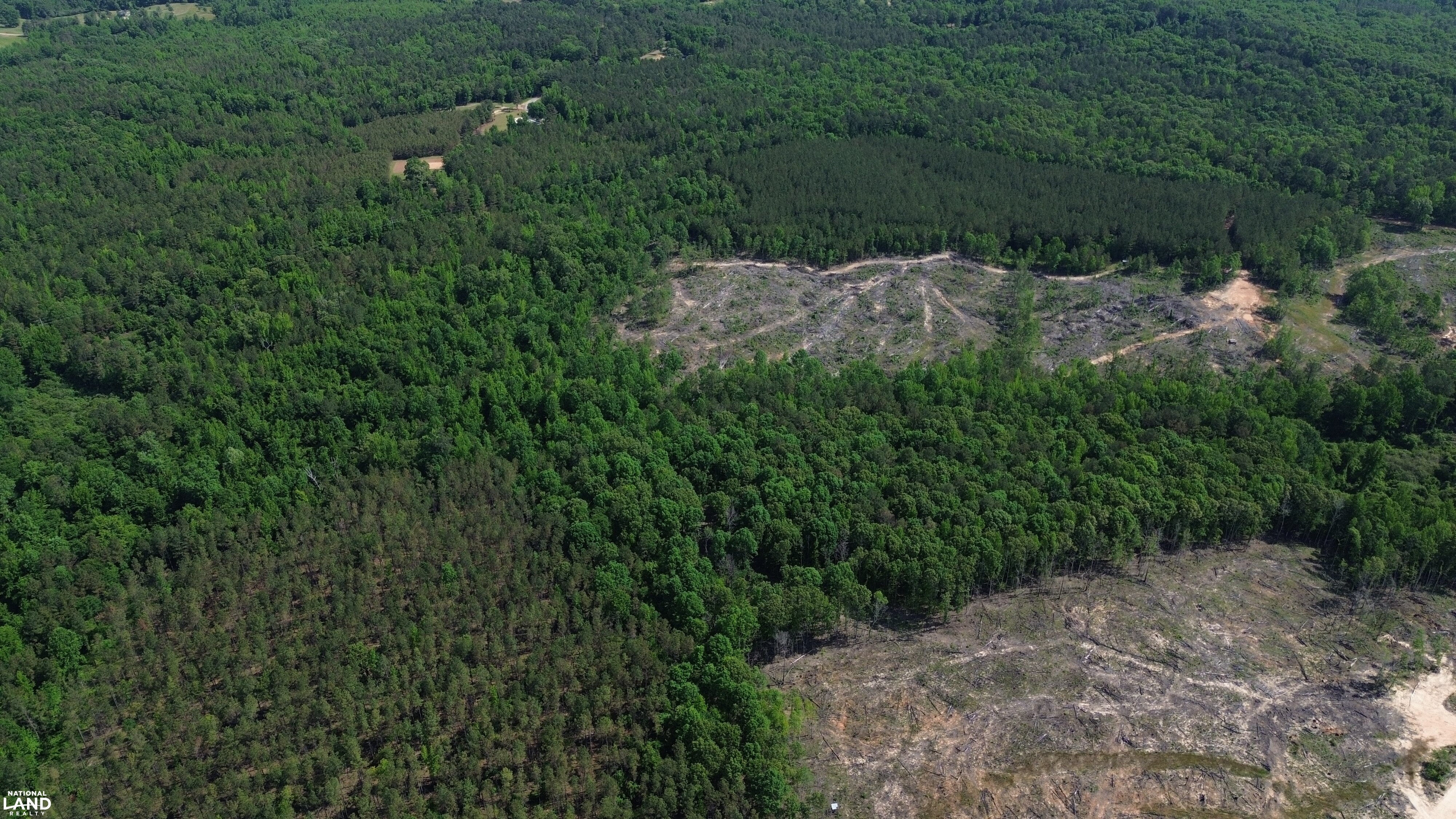 Tree Farm Road in Lamar County, Alabama (31 Photos) | National Land Realty