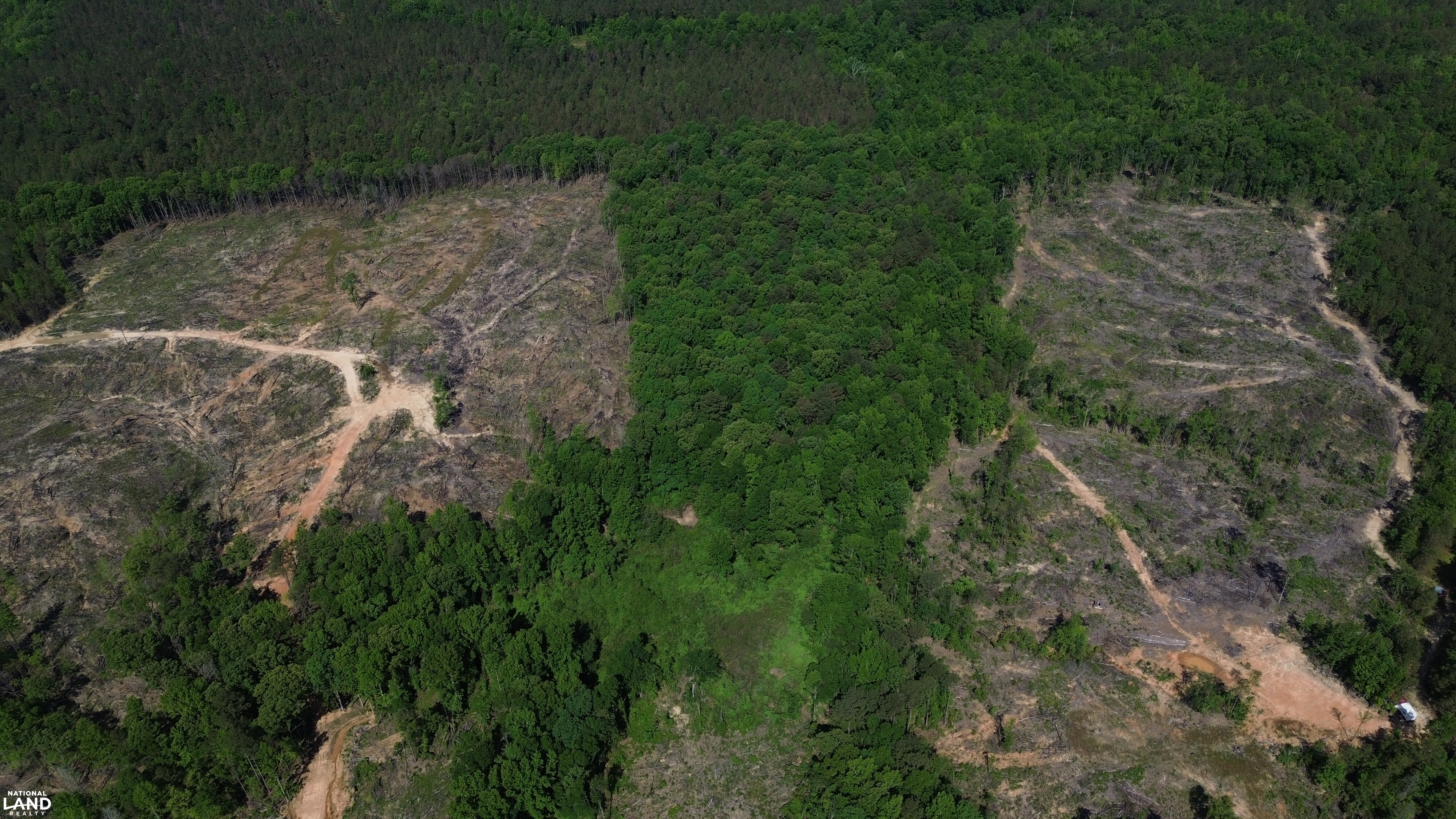 Tree Farm Road in Lamar County, Alabama (31 Photos) | National Land Realty