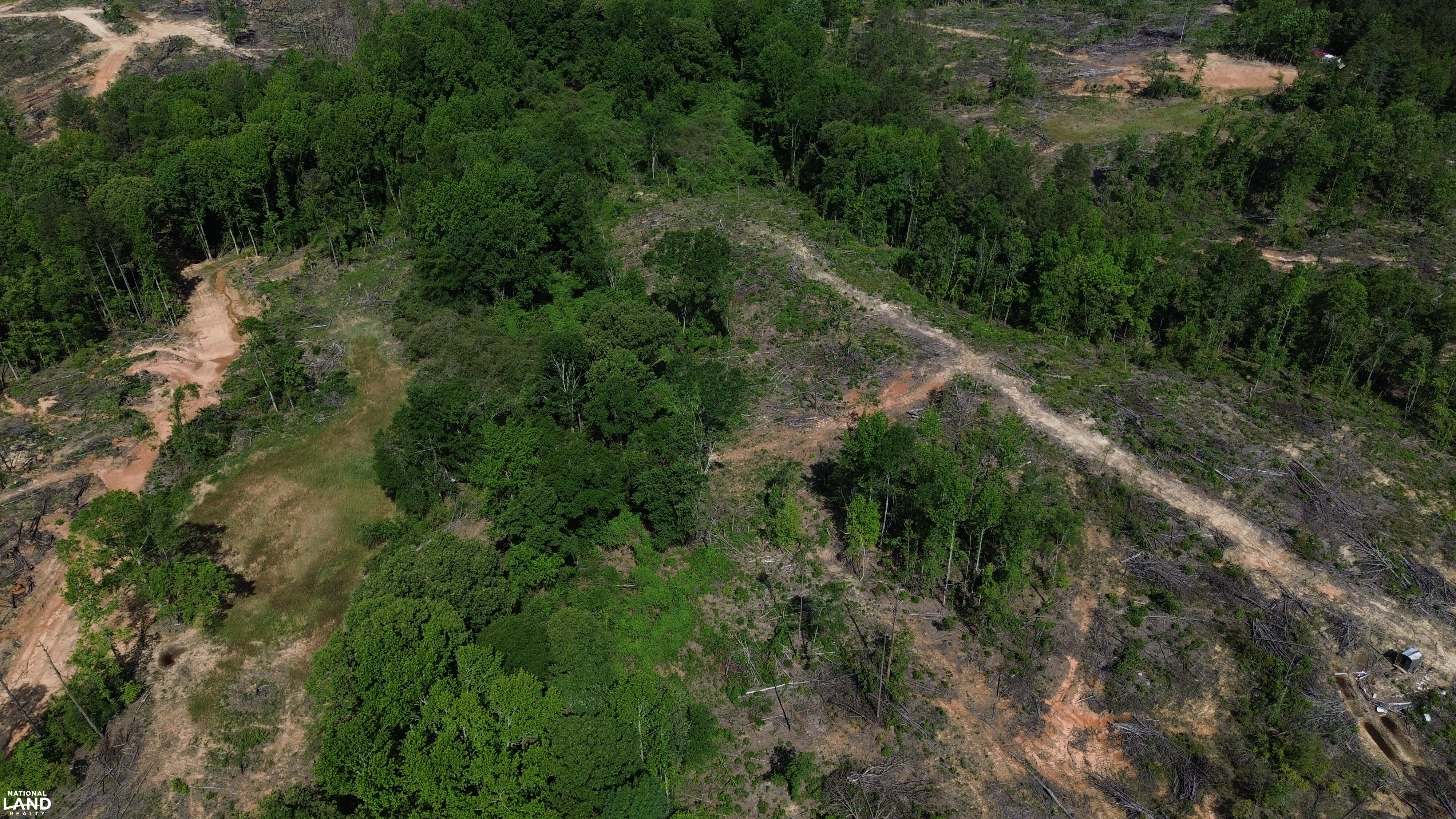 Tree Farm Road in Lamar County, Alabama (31 Photos) | National Land Realty