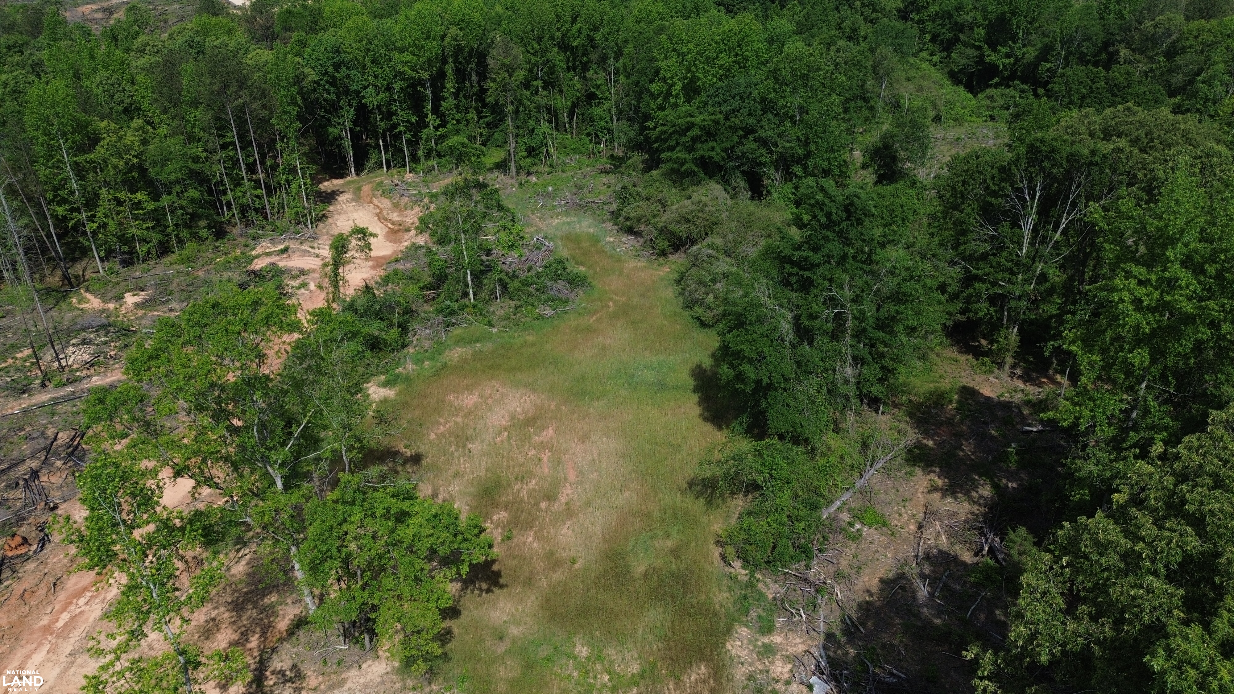 Tree Farm Road in Lamar County, Alabama (31 Photos) | National Land Realty