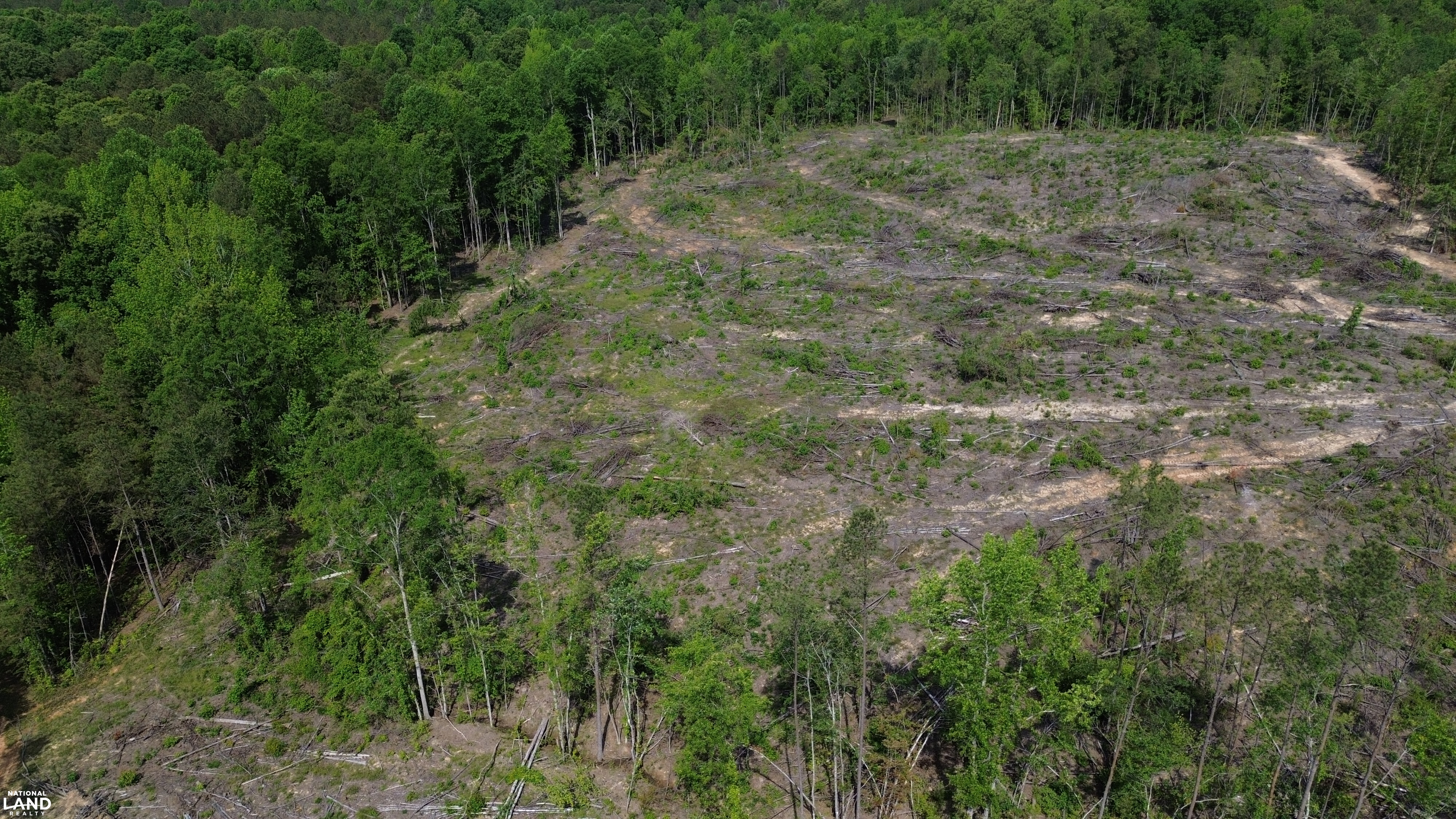 Tree Farm Road in Lamar County, Alabama (31 Photos) | National Land Realty