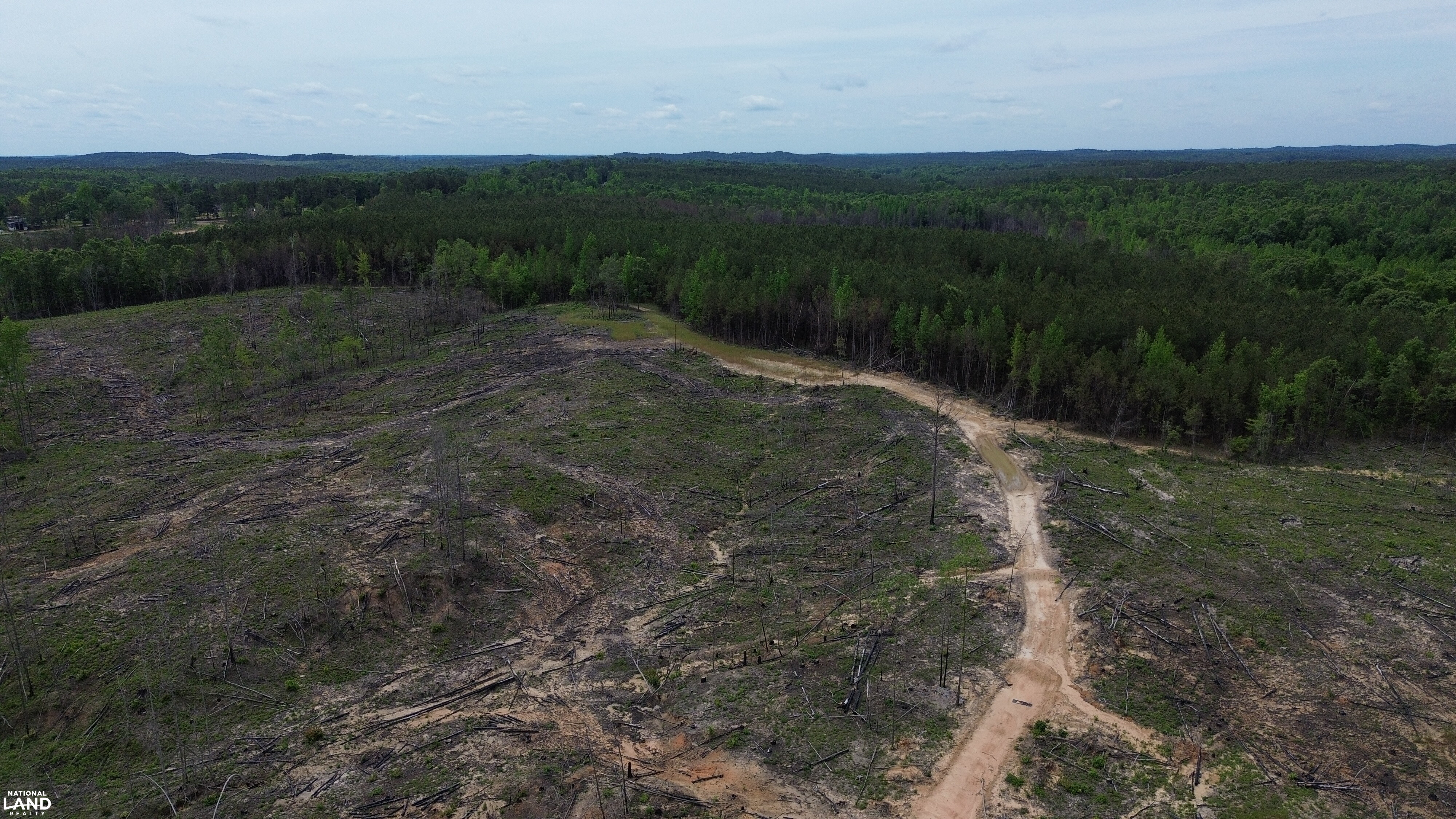 Tree Farm Road in Lamar County, Alabama (31 Photos) | National Land Realty