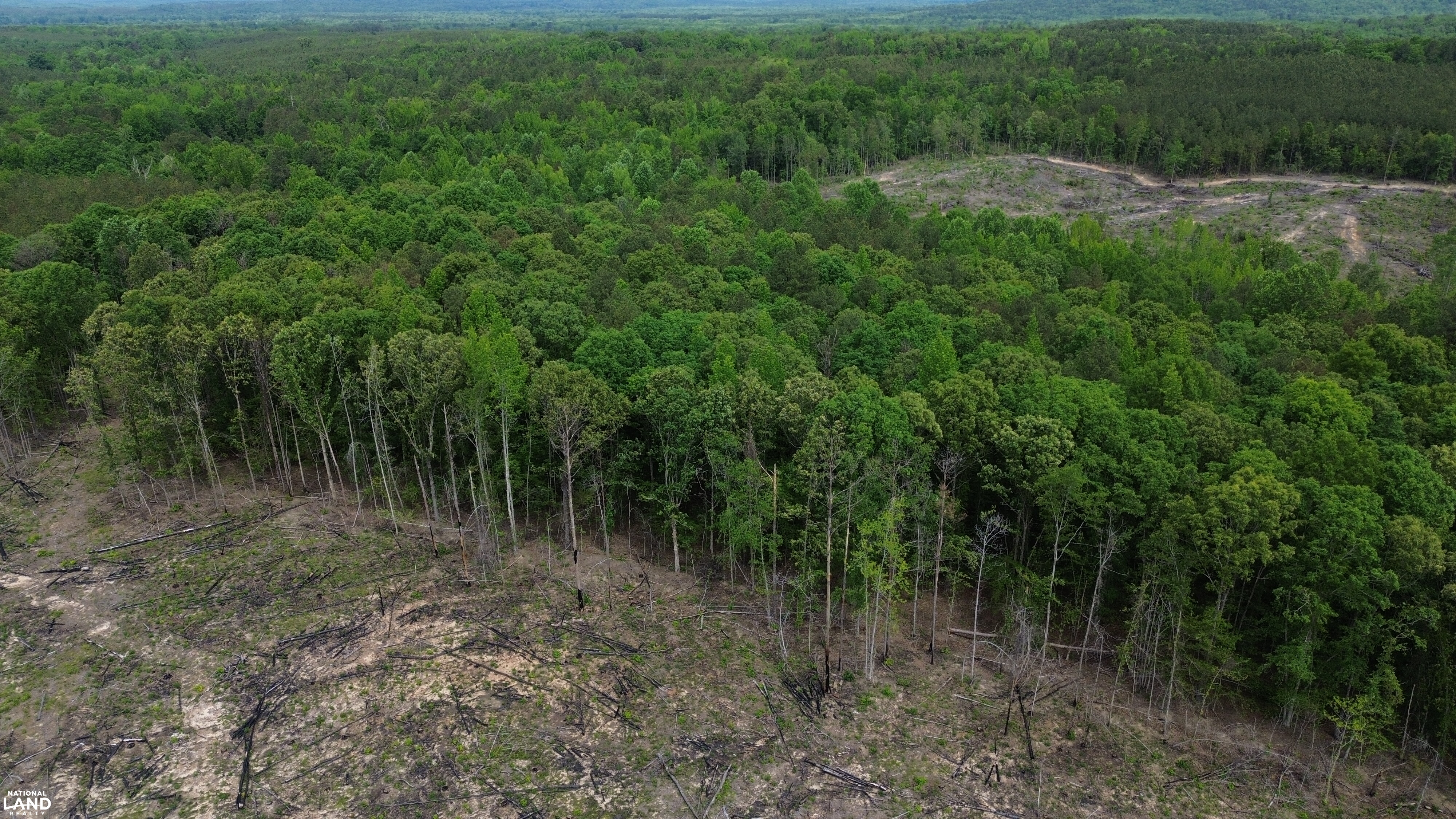 Tree Farm Road in Lamar County, Alabama (31 Photos) | National Land Realty