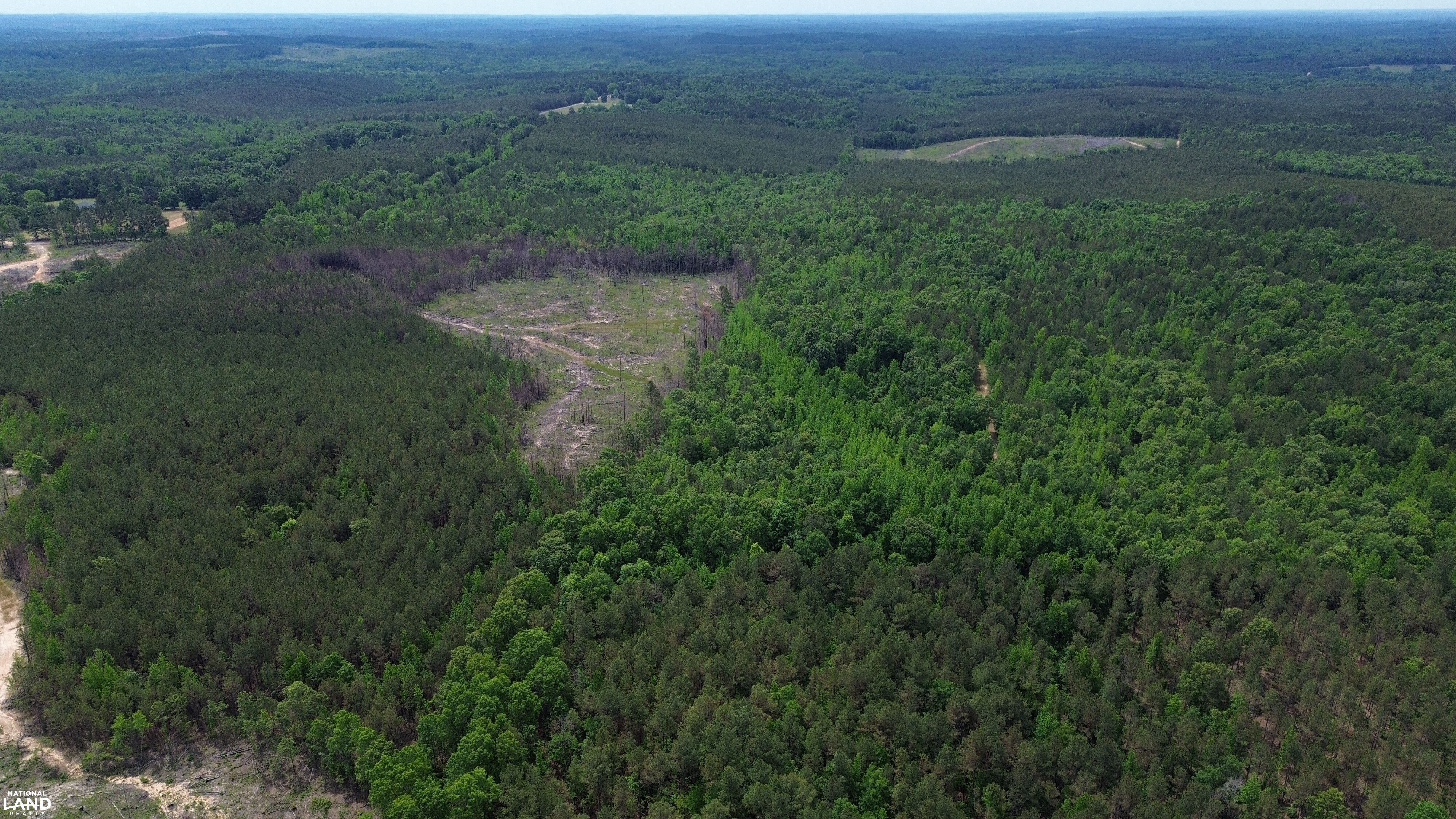 Tree Farm Road in Lamar County, Alabama (31 Photos) | National Land Realty