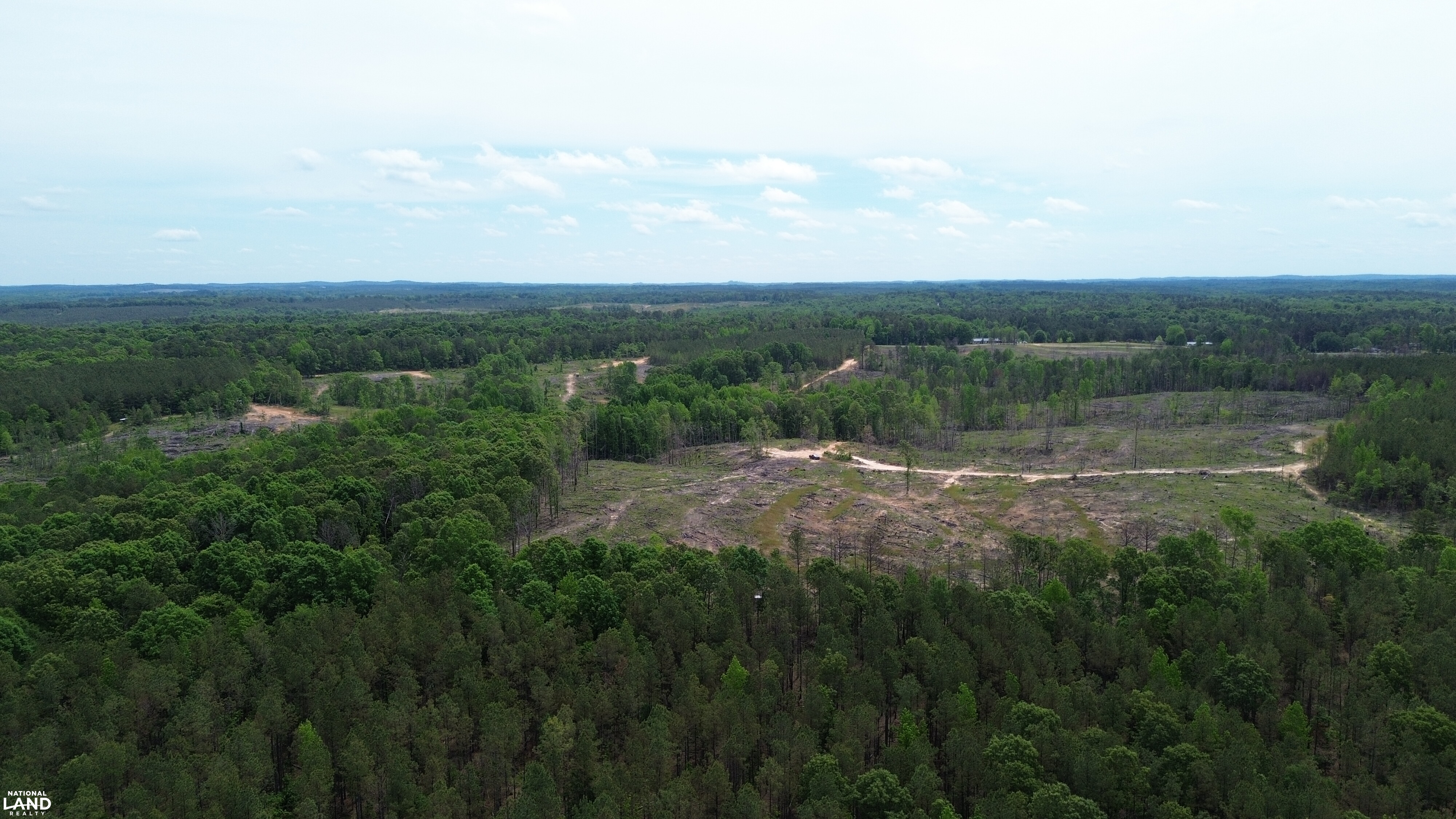 Tree Farm Road in Lamar County, Alabama (31 Photos) | National Land Realty