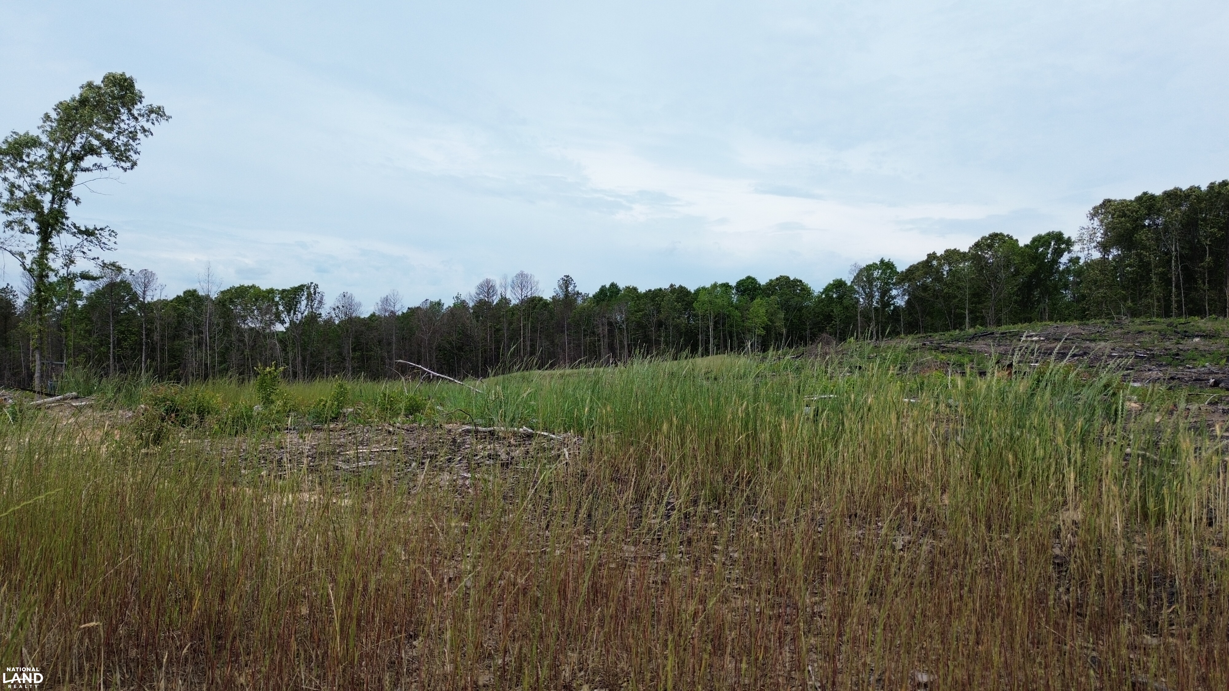 Tree Farm Road in Lamar County, Alabama (31 Photos) | National Land Realty
