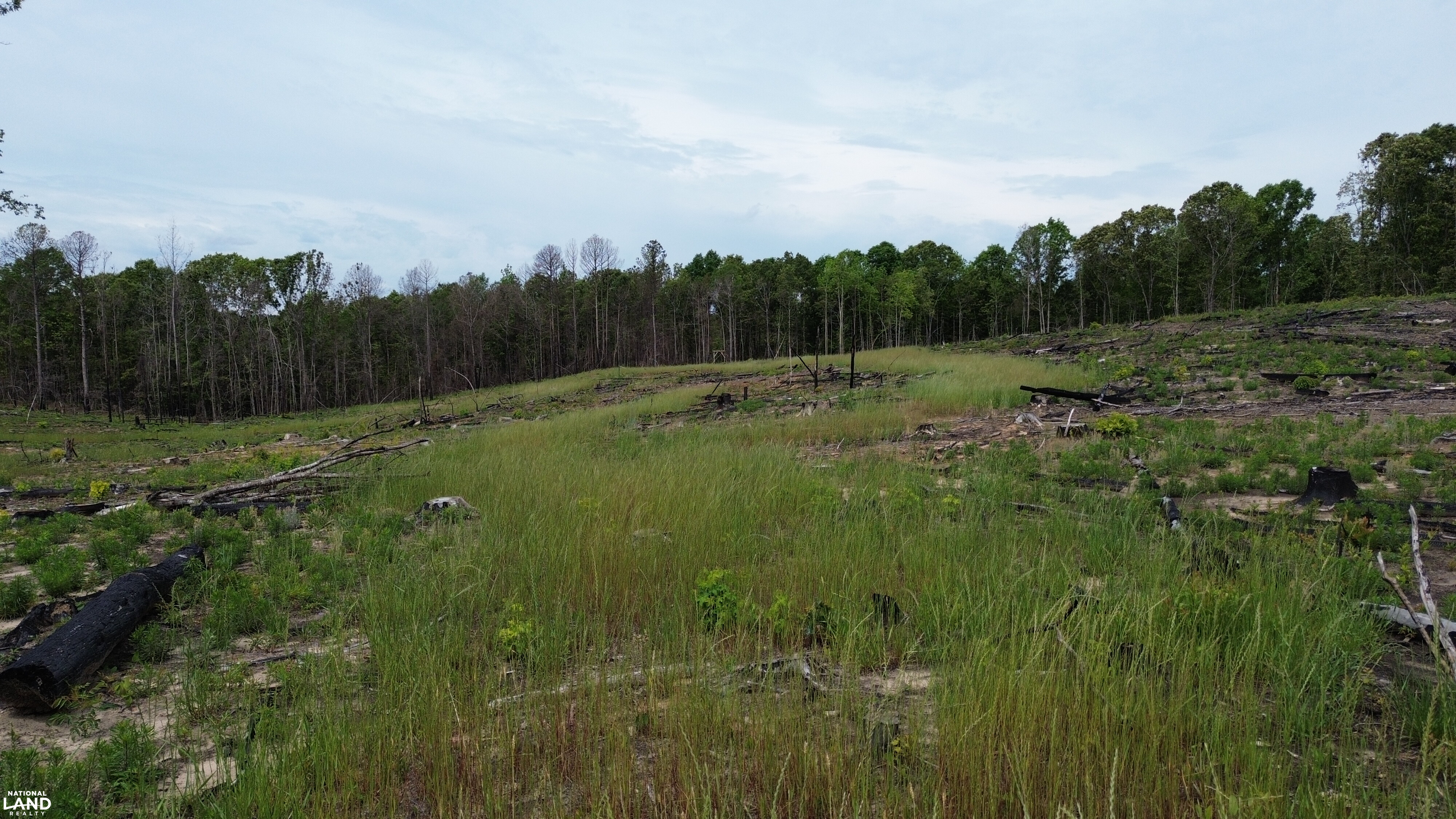 Tree Farm Road in Lamar County, Alabama (31 Photos) | National Land Realty
