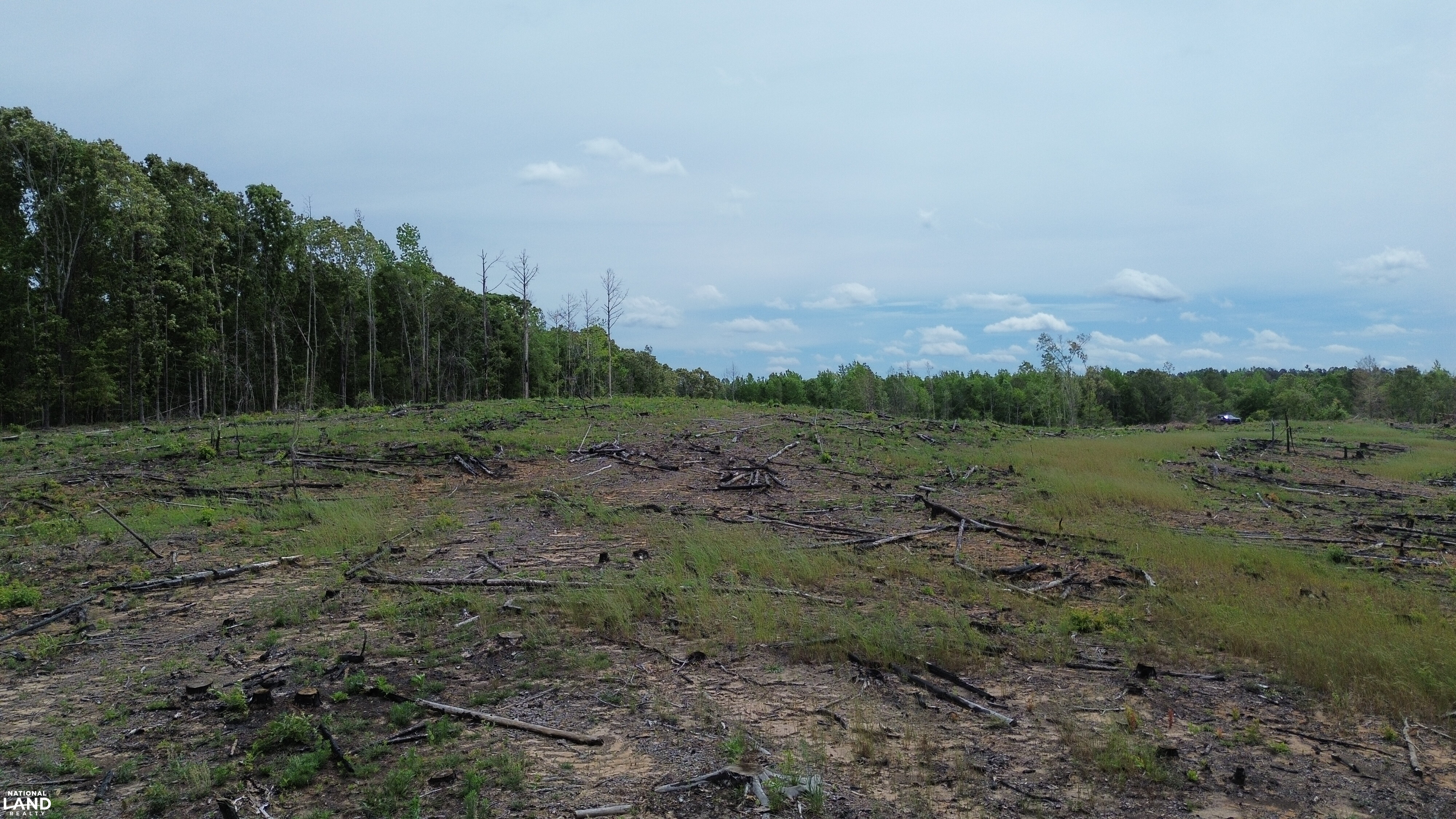 Tree Farm Road in Lamar County, Alabama (31 Photos) | National Land Realty