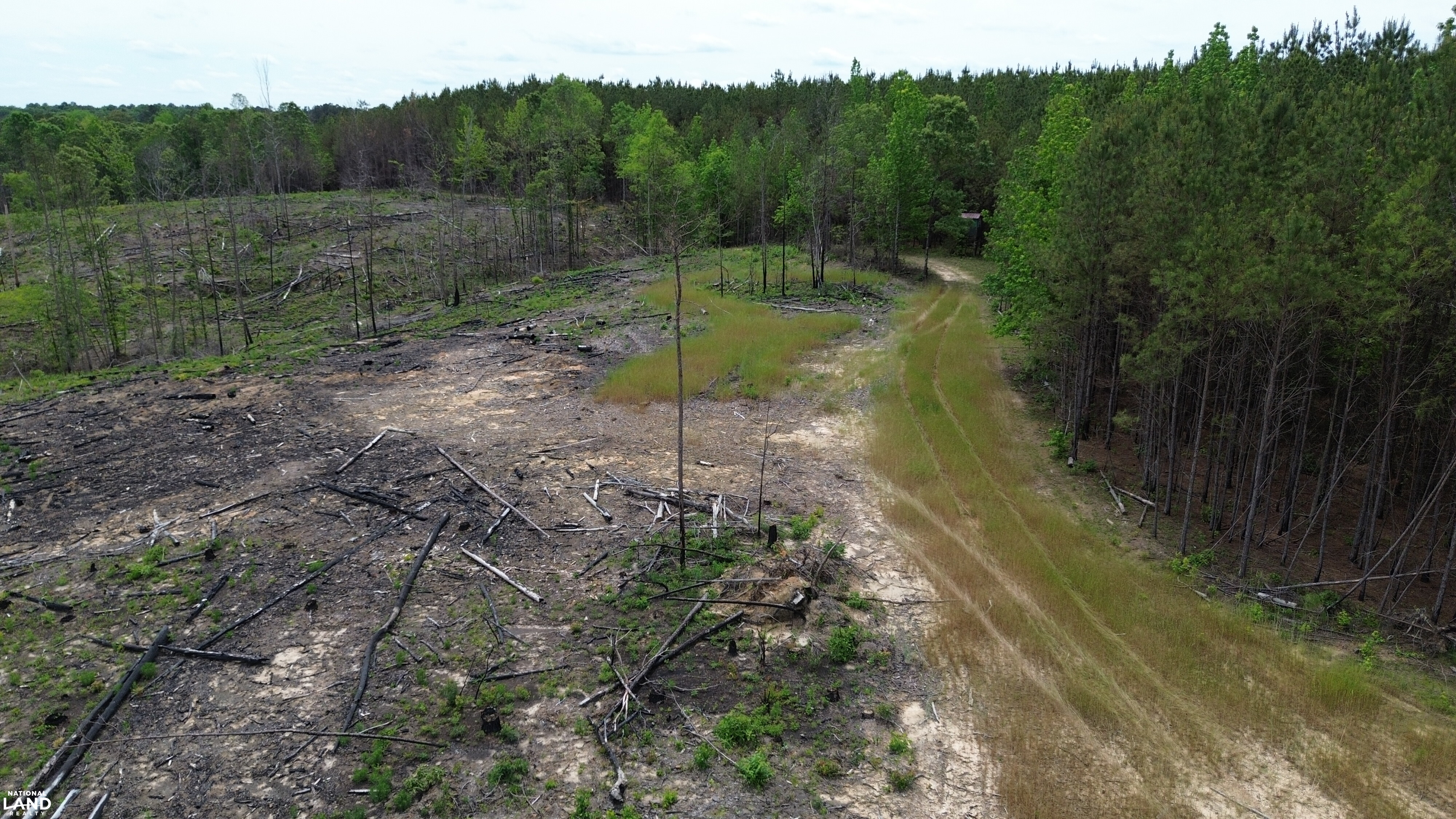 Tree Farm Road in Lamar County, Alabama (31 Photos) | National Land Realty