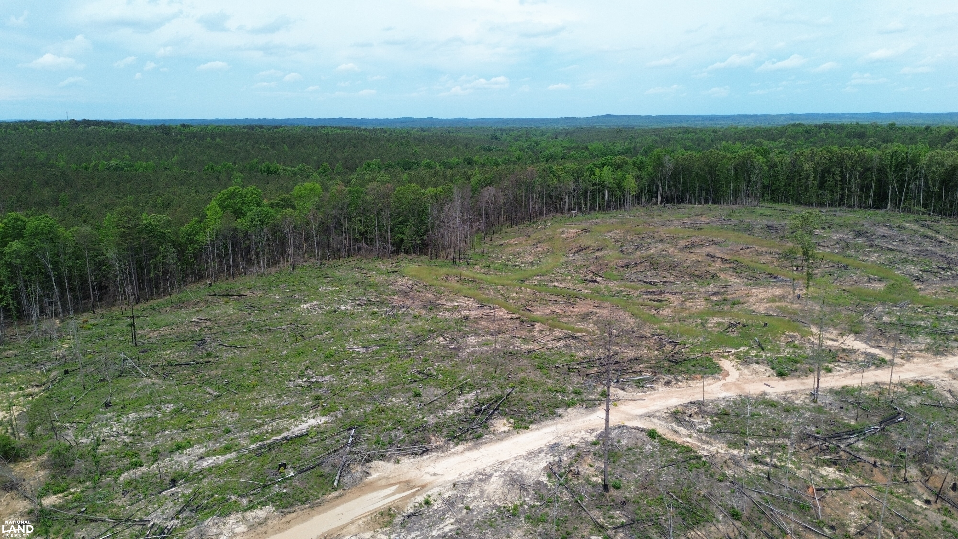 Tree Farm Road in Lamar County, Alabama (31 Photos) | National Land Realty