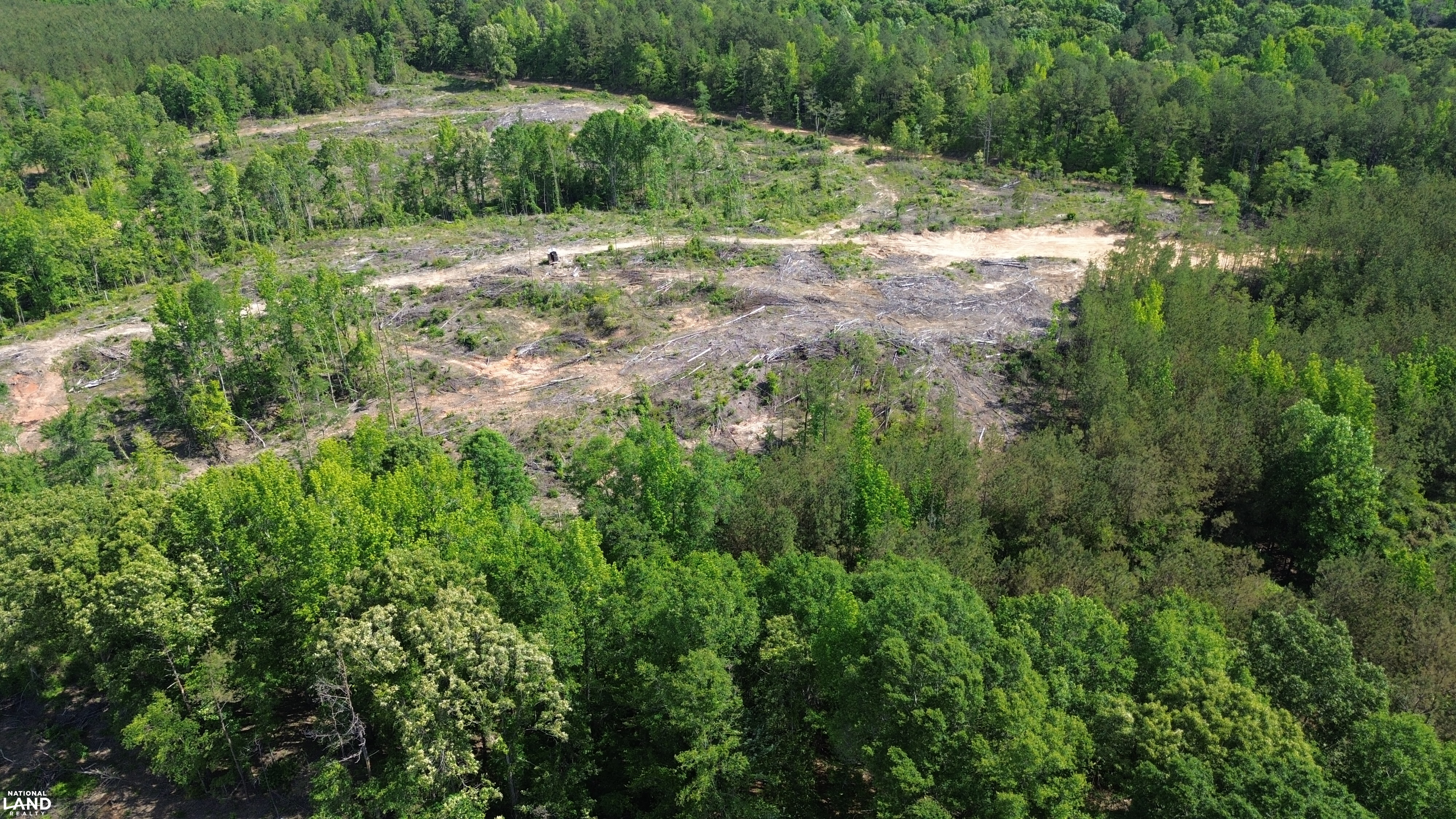 Tree Farm Road in Lamar County, Alabama (31 Photos) | National Land Realty