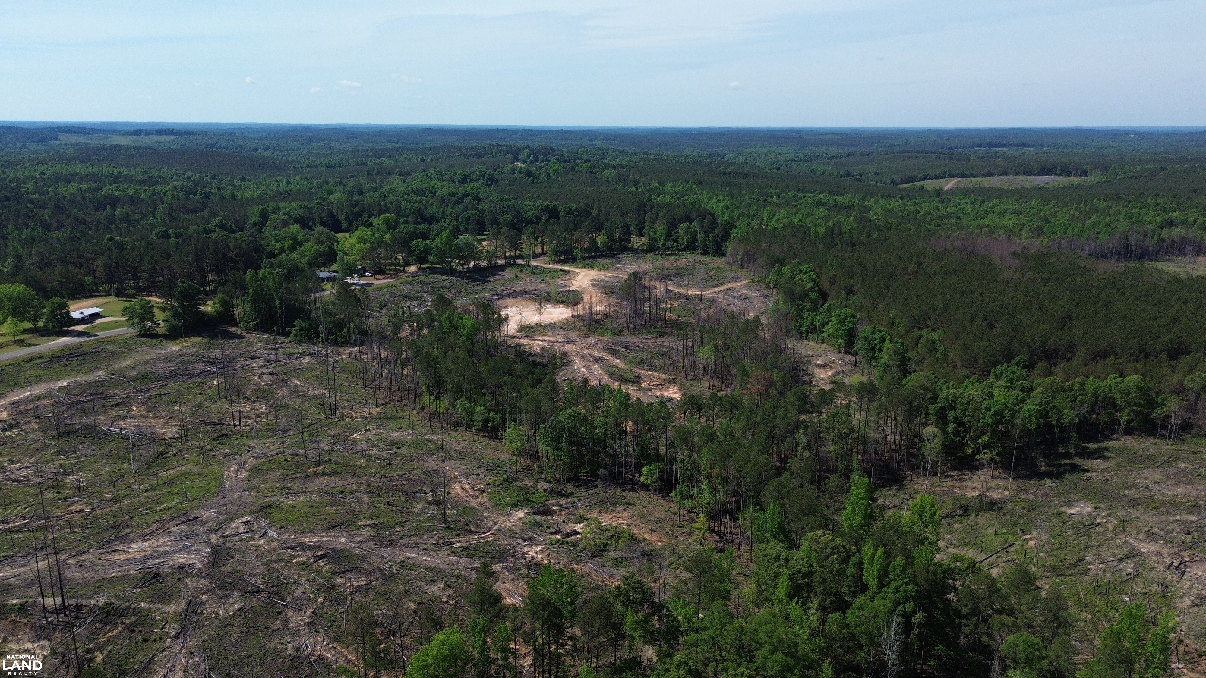 Tree Farm Road in Lamar County, Alabama (31 Photos) | National Land Realty