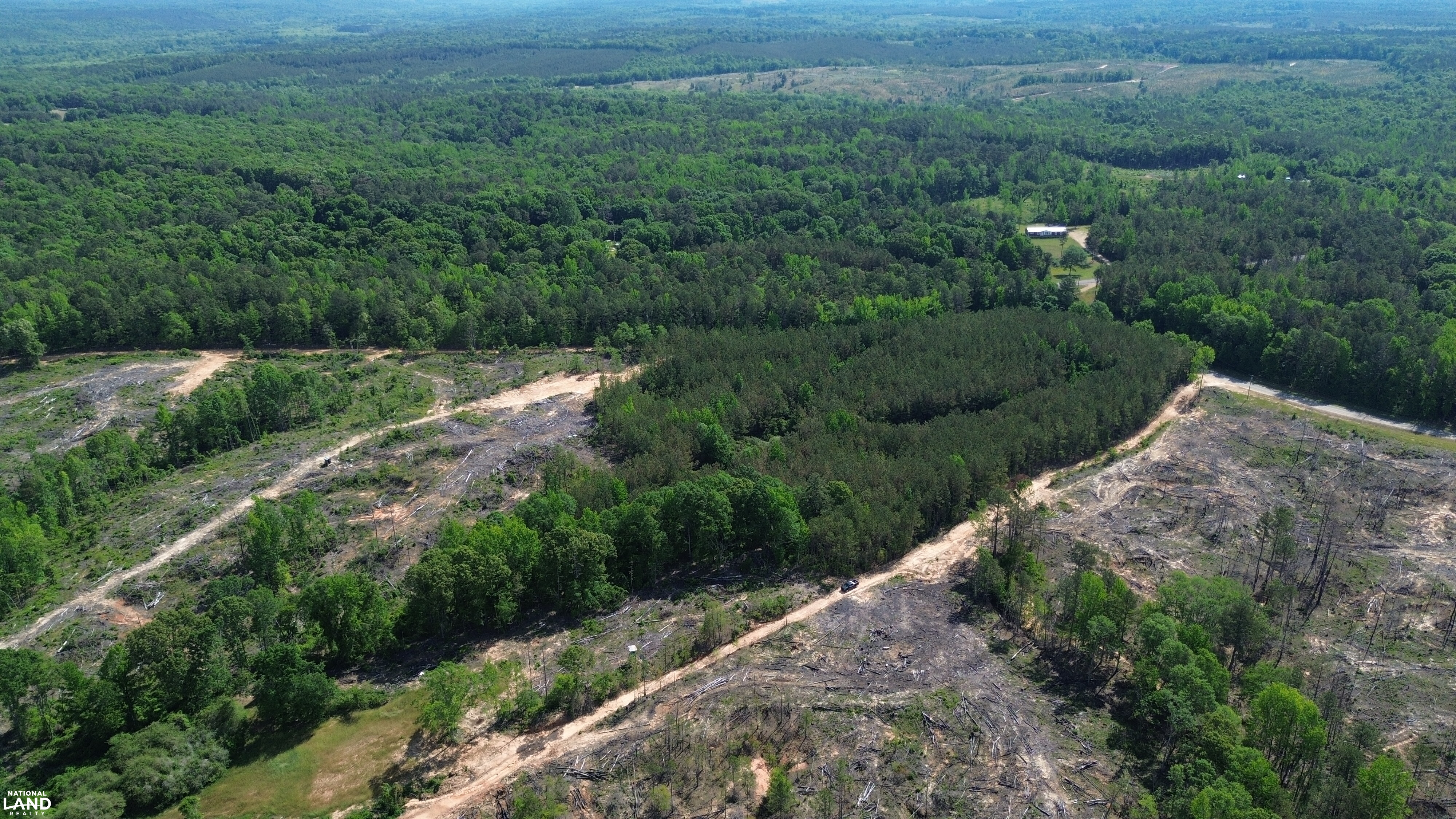 Tree Farm Road in Lamar County, Alabama (31 Photos) | National Land Realty