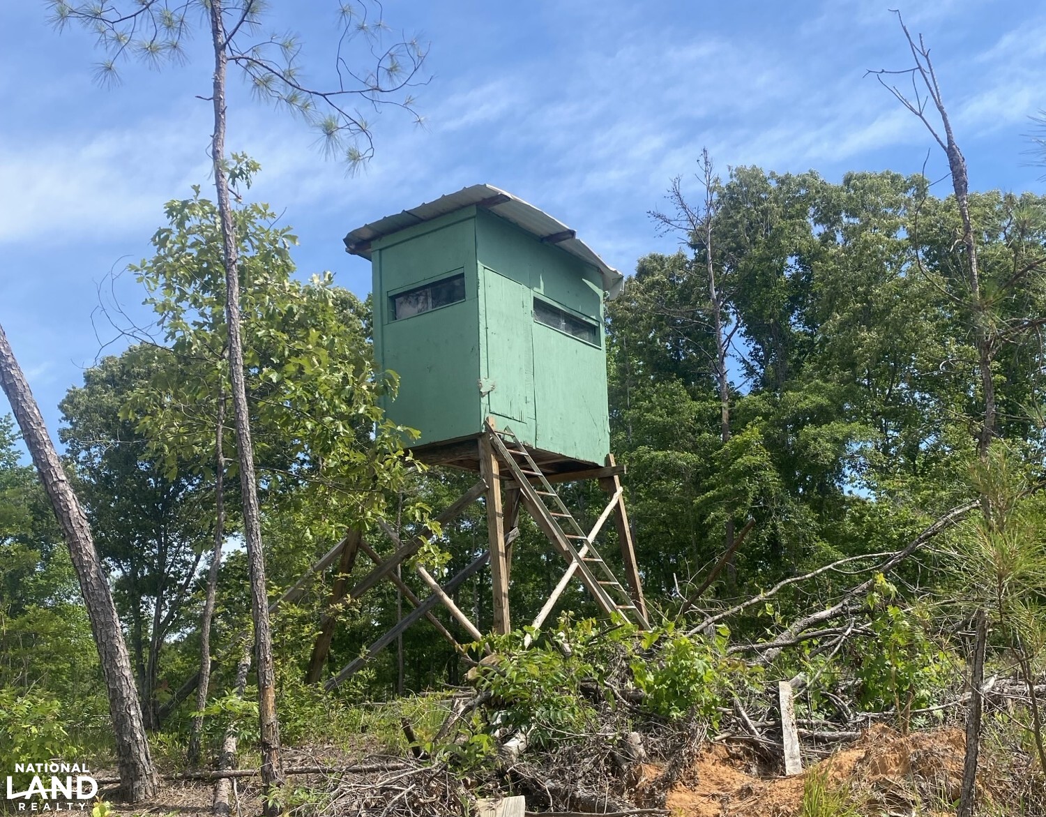 Tree Farm Rd Tree Farm Road in Lamar County, Alabama (31 Photos) | National Land Realty