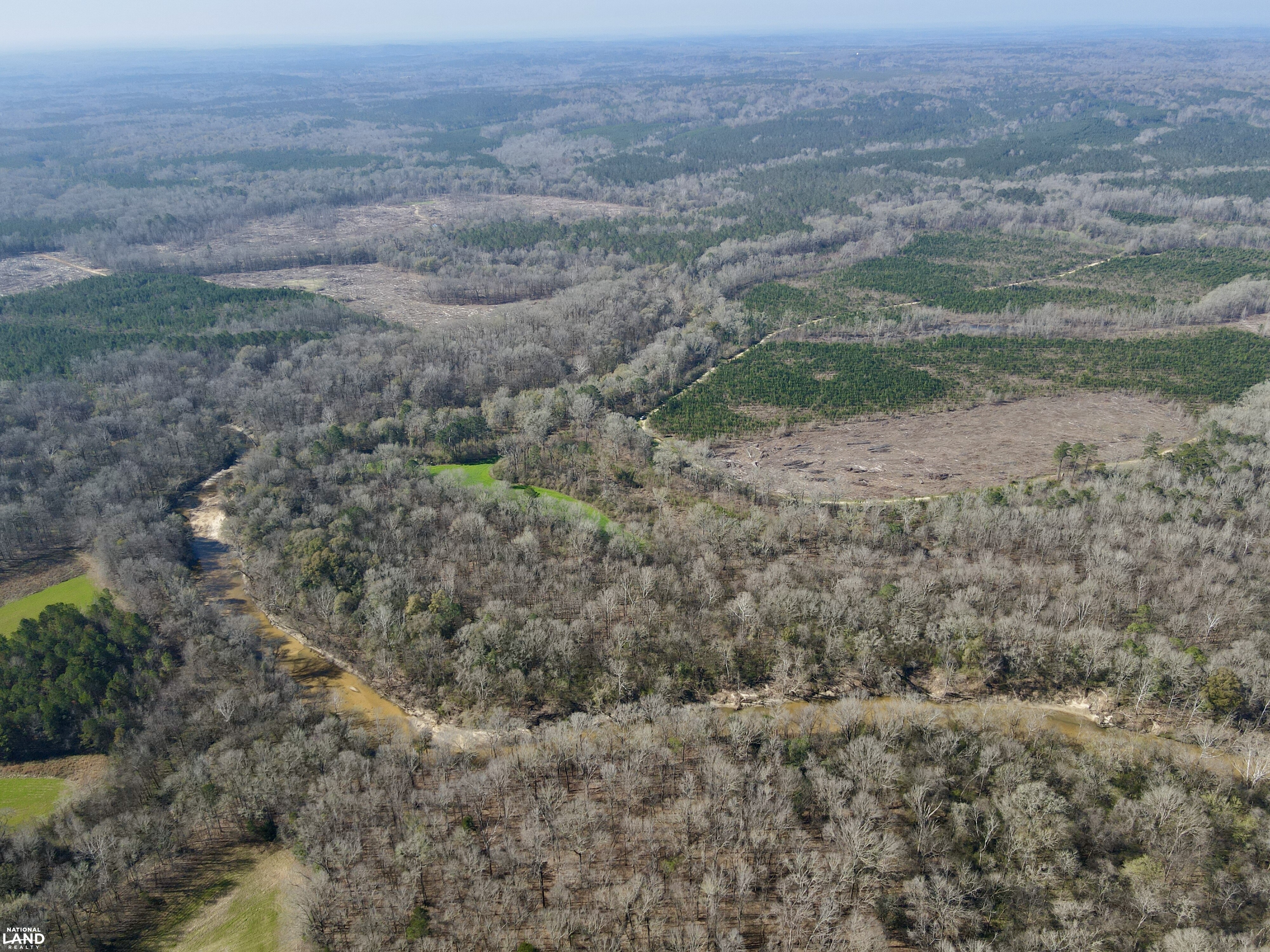 Minter Al The Black Belt Minter Cedar Creek Tract in Dallas County, Alabama (91 ...