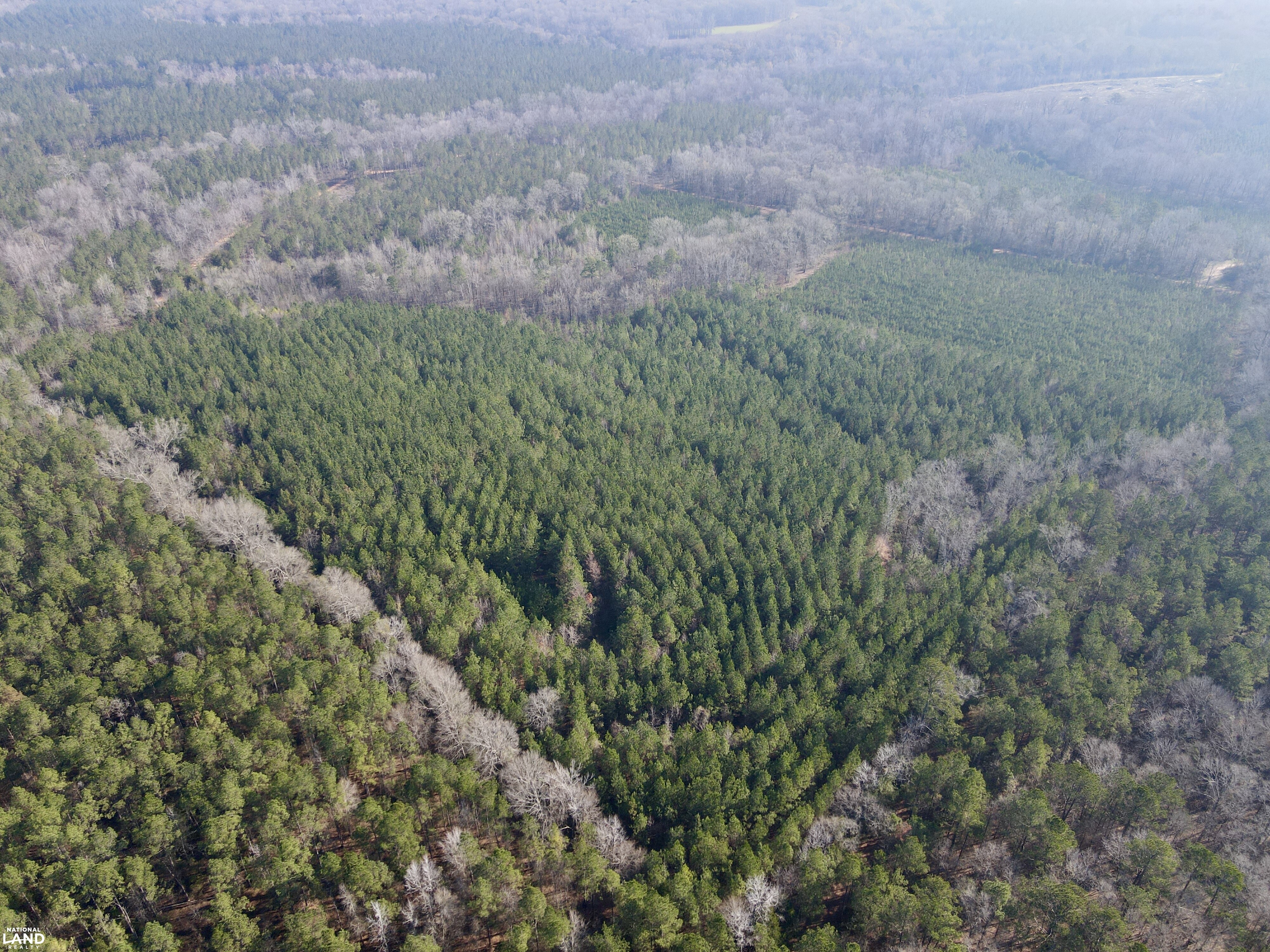 Minter Al The Black Belt Minter Cedar Creek Tract in Dallas County, Alabama (91 ...