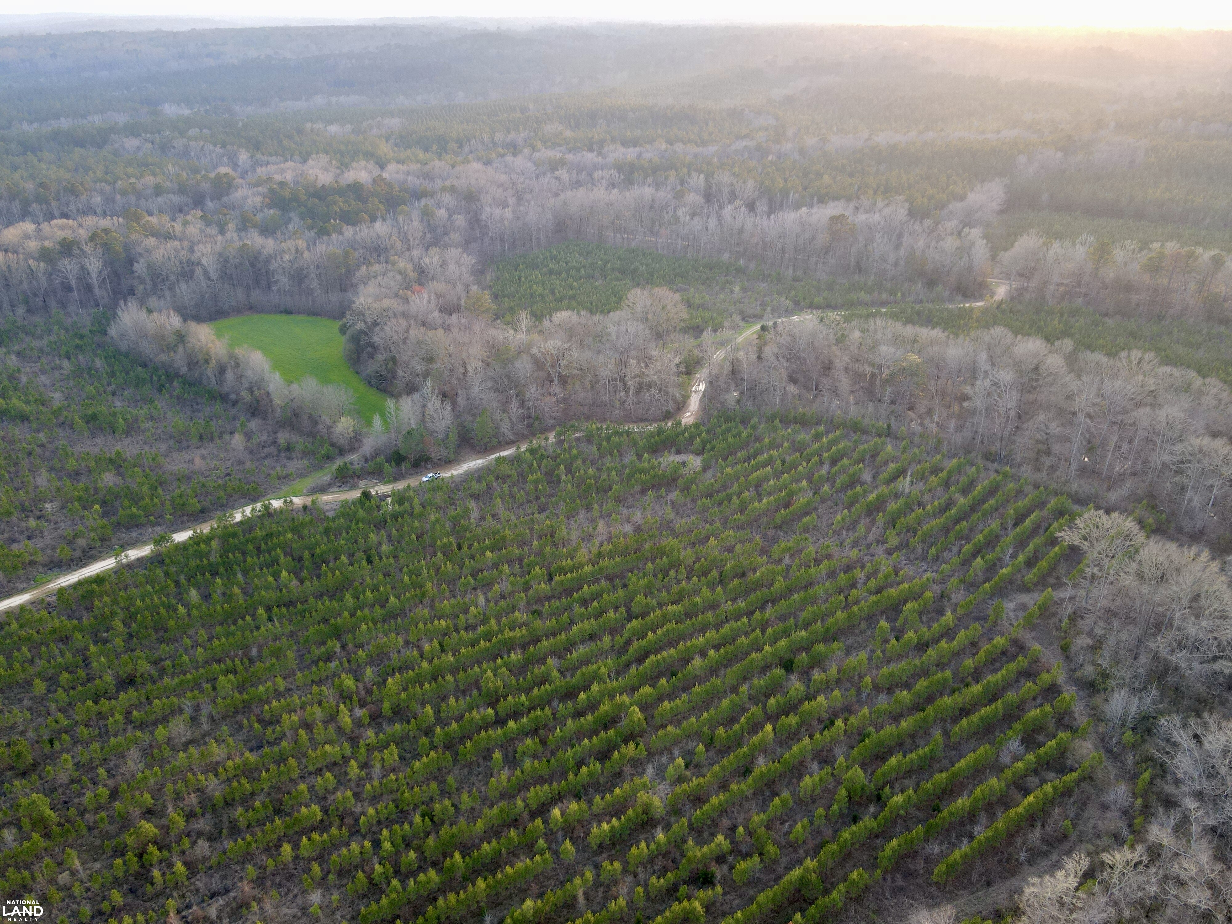 Minter Al The Black Belt Minter Cedar Creek Tract in Dallas County, Alabama (91 ...