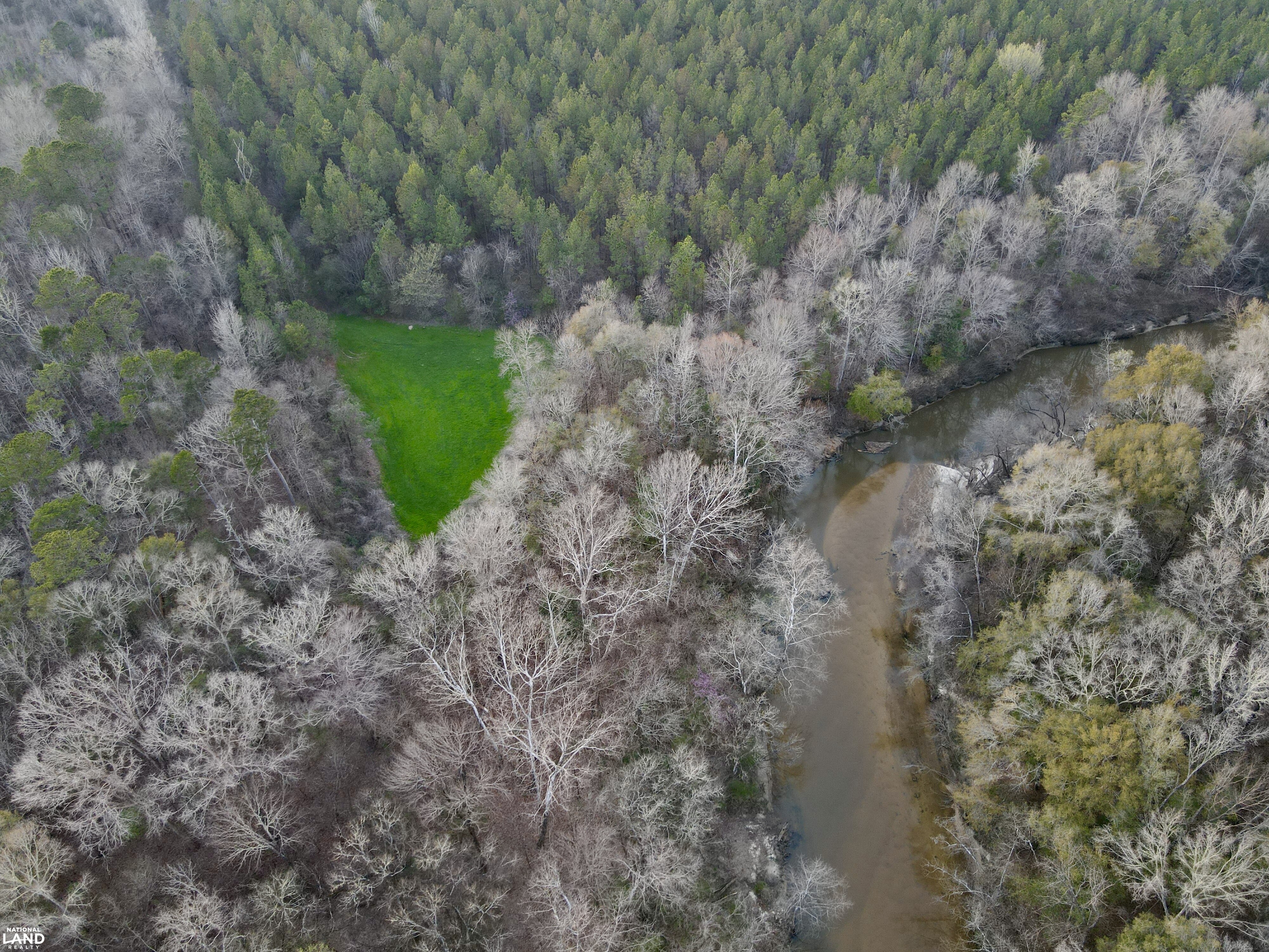 Minter Al The Black Belt Minter Cedar Creek Tract in Dallas County, Alabama (91 ...