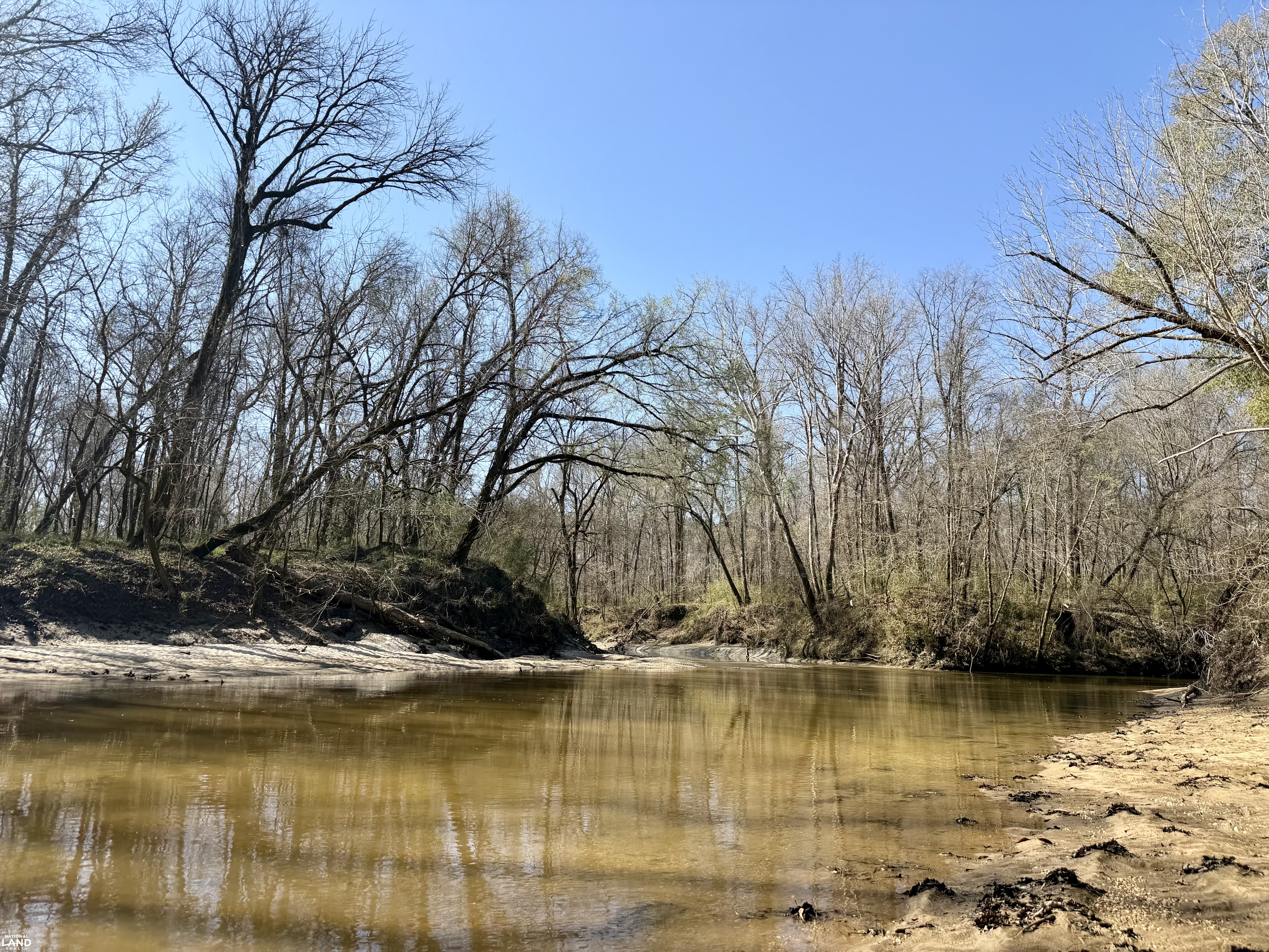 Minter Al The Black Belt Minter Cedar Creek Tract in Dallas County, Alabama (91 ...