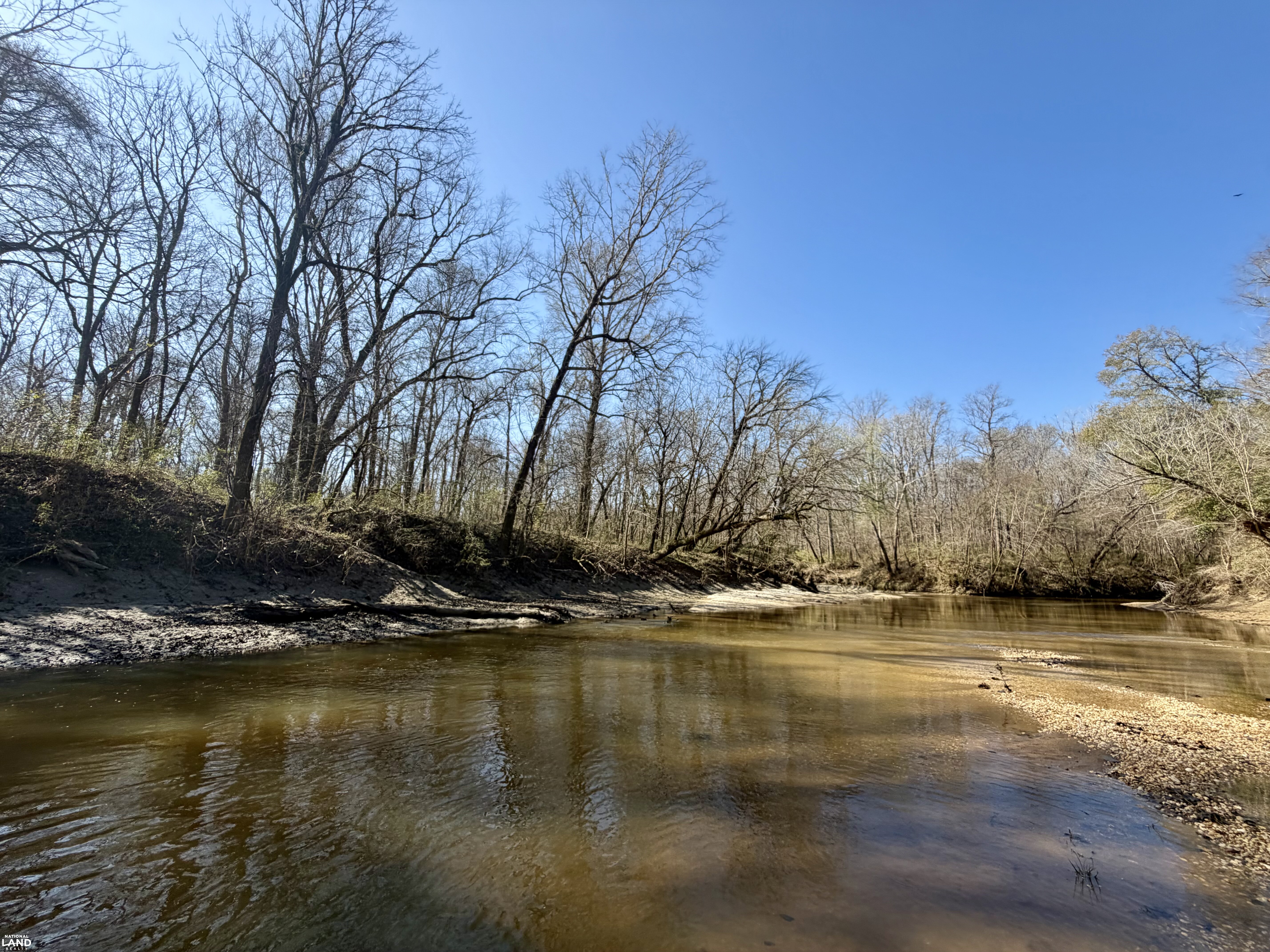 Minter Al The Black Belt Minter Cedar Creek Tract in Dallas County, Alabama (91 ...