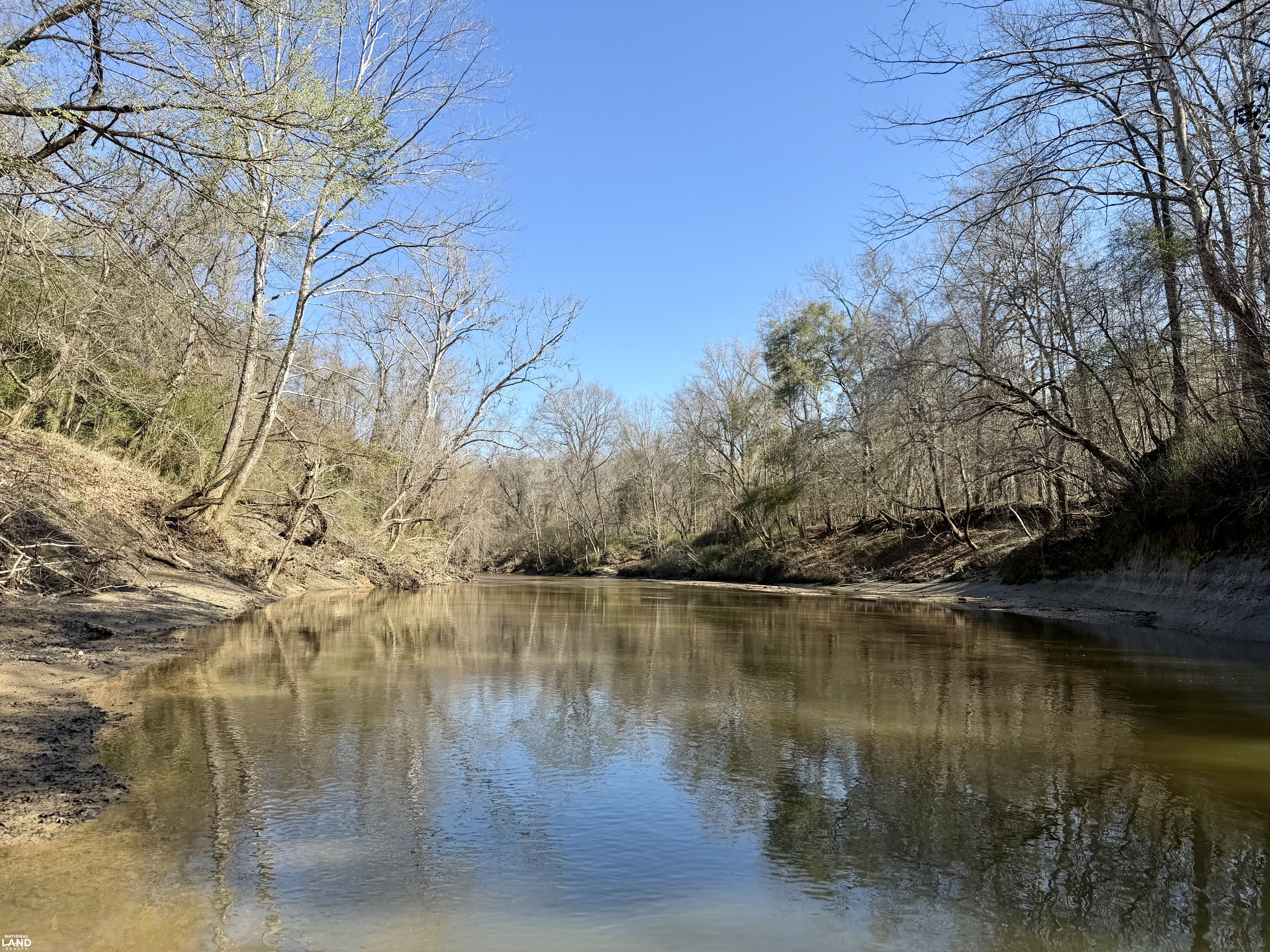 Minter Al The Black Belt Minter Cedar Creek Tract in Dallas County, Alabama (91 ...