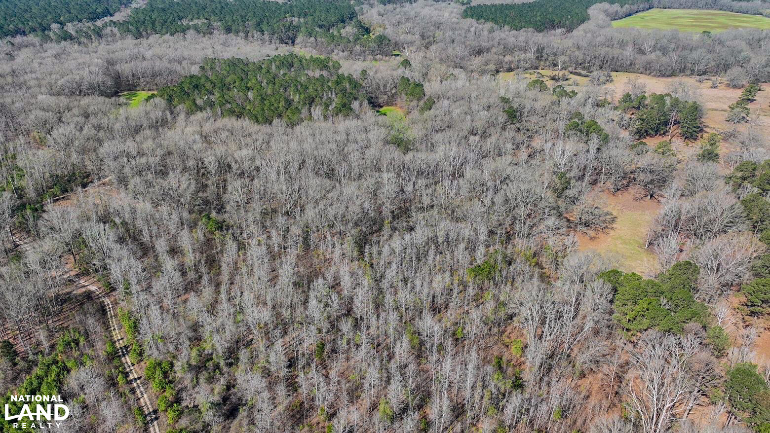 Chitto 2 S Raiwind Bogue Chitto Hunting and Timber Investment in Dallas County, Alabama ...