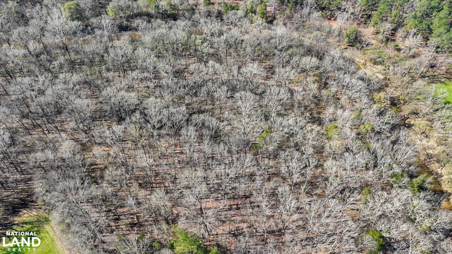 Chitto 2 S Raiwind Bogue Chitto Hunting and Timber Investment in Dallas County, Alabama ...