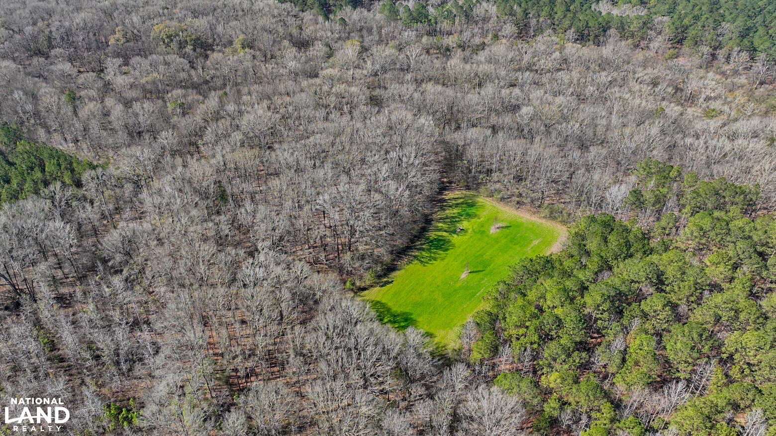 Chitto 2 S Raiwind Bogue Chitto Hunting and Timber Investment in Dallas County, Alabama ...