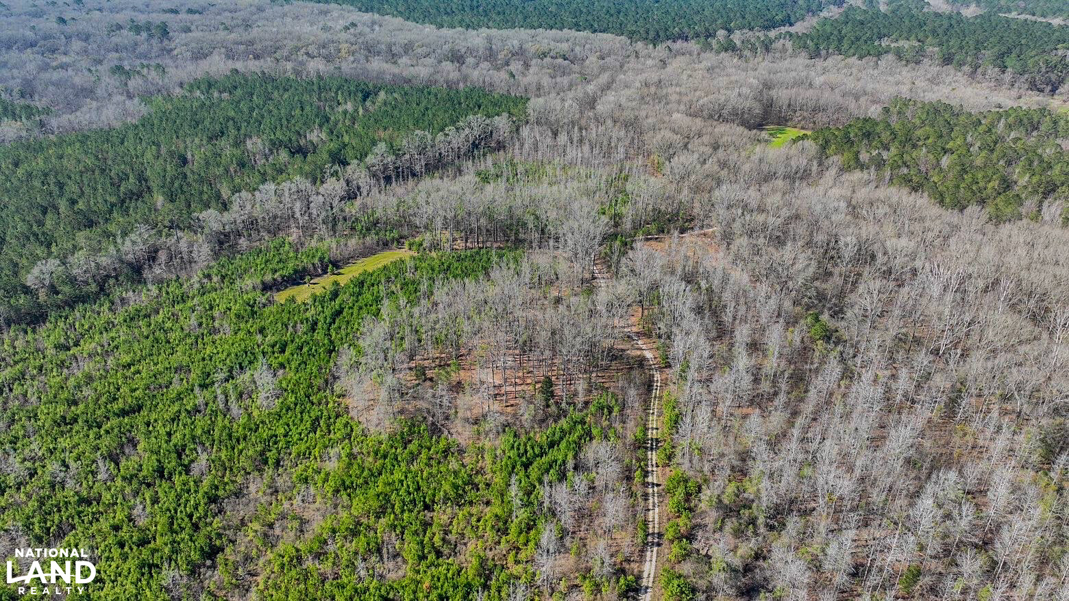 Chitto 2 S Raiwind Bogue Chitto Hunting and Timber Investment in Dallas County, Alabama ...