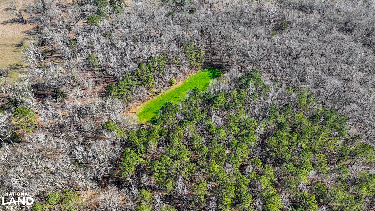 Chitto 2 S Raiwind Bogue Chitto Hunting and Timber Investment in Dallas County, Alabama ...