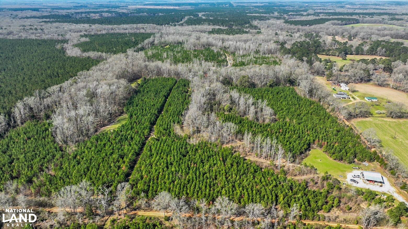 Chitto 2 S Raiwind Bogue Chitto Hunting and Timber Investment in Dallas County, Alabama ...