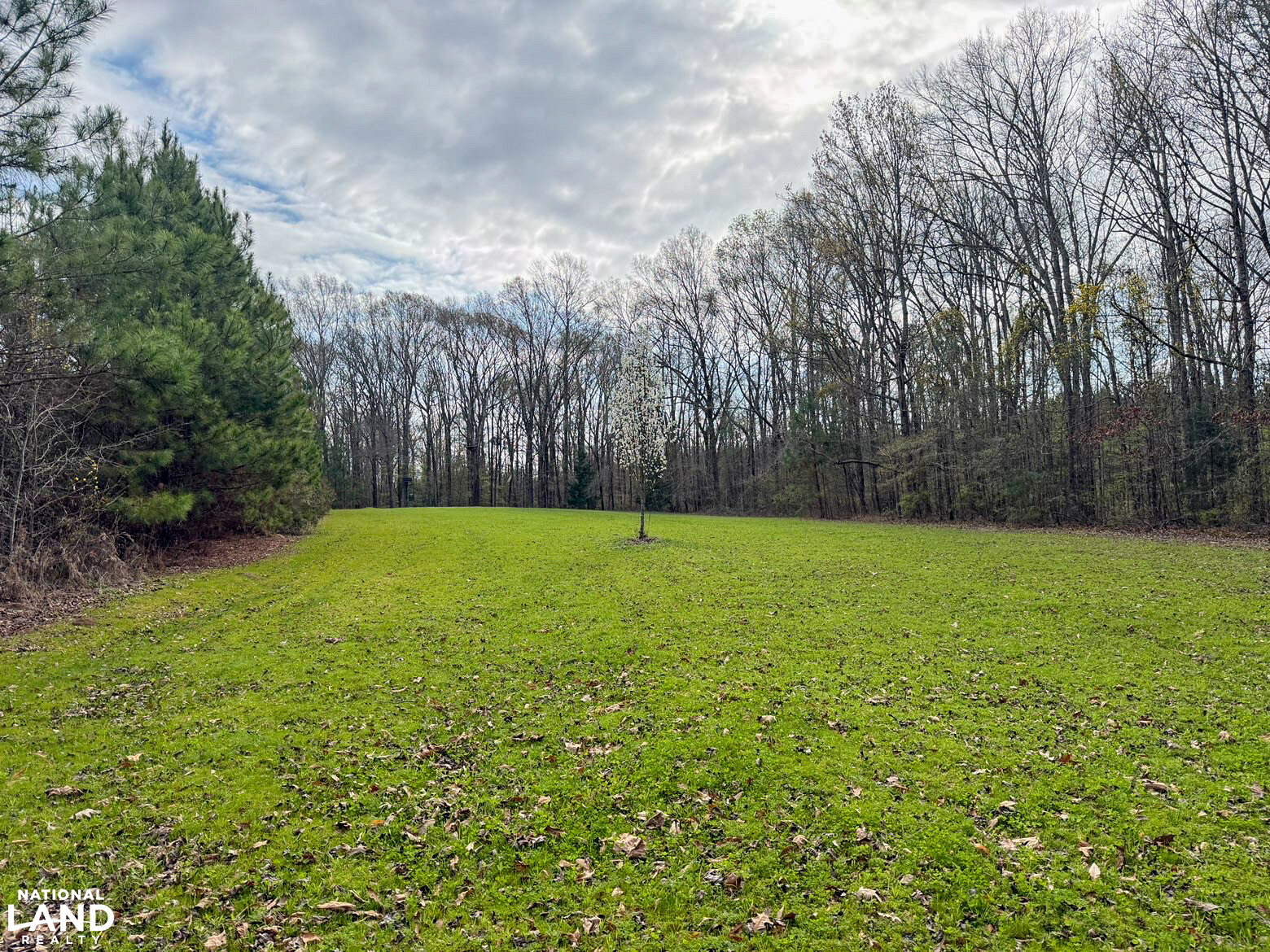 Chitto 2 S Raiwind Bogue Chitto Hunting and Timber Investment in Dallas County, Alabama ...