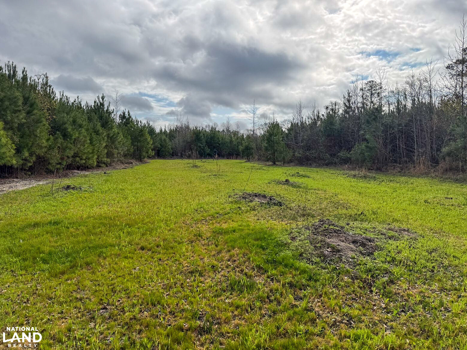 Chitto 2 S Raiwind Bogue Chitto Hunting and Timber Investment in Dallas County, Alabama ...