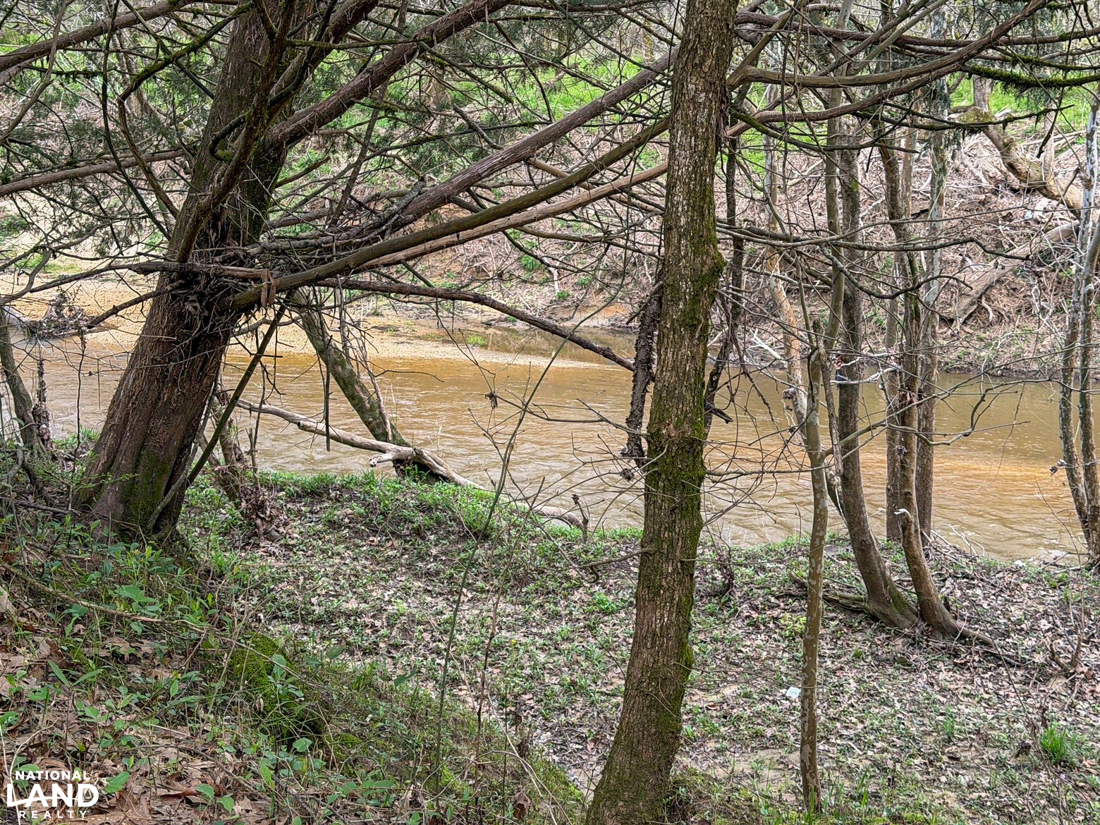 Chitto 2 S Raiwind Bogue Chitto Hunting and Timber Investment in Dallas County, Alabama ...