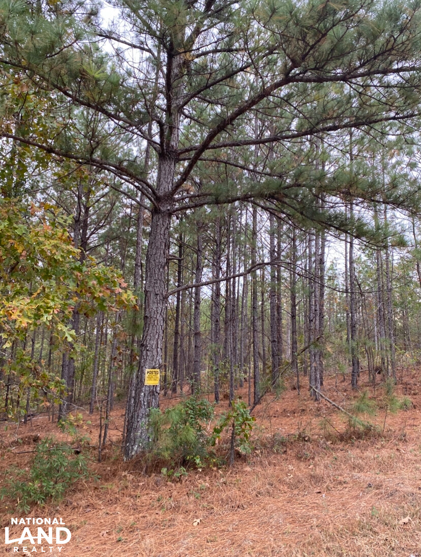 43 Acre Chelsea Homesite in Shelby County, Alabama (13 Photos ...