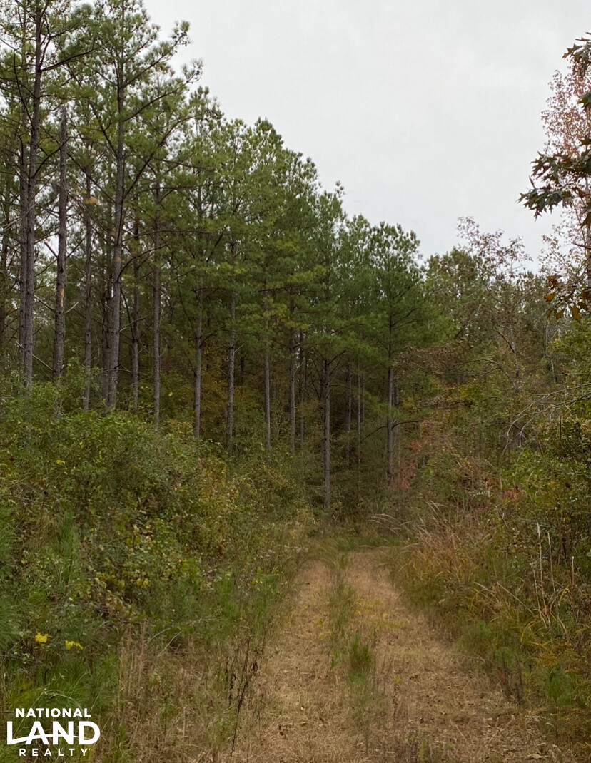 43 Acre Chelsea Homesite in Shelby County, Alabama (13 Photos ...