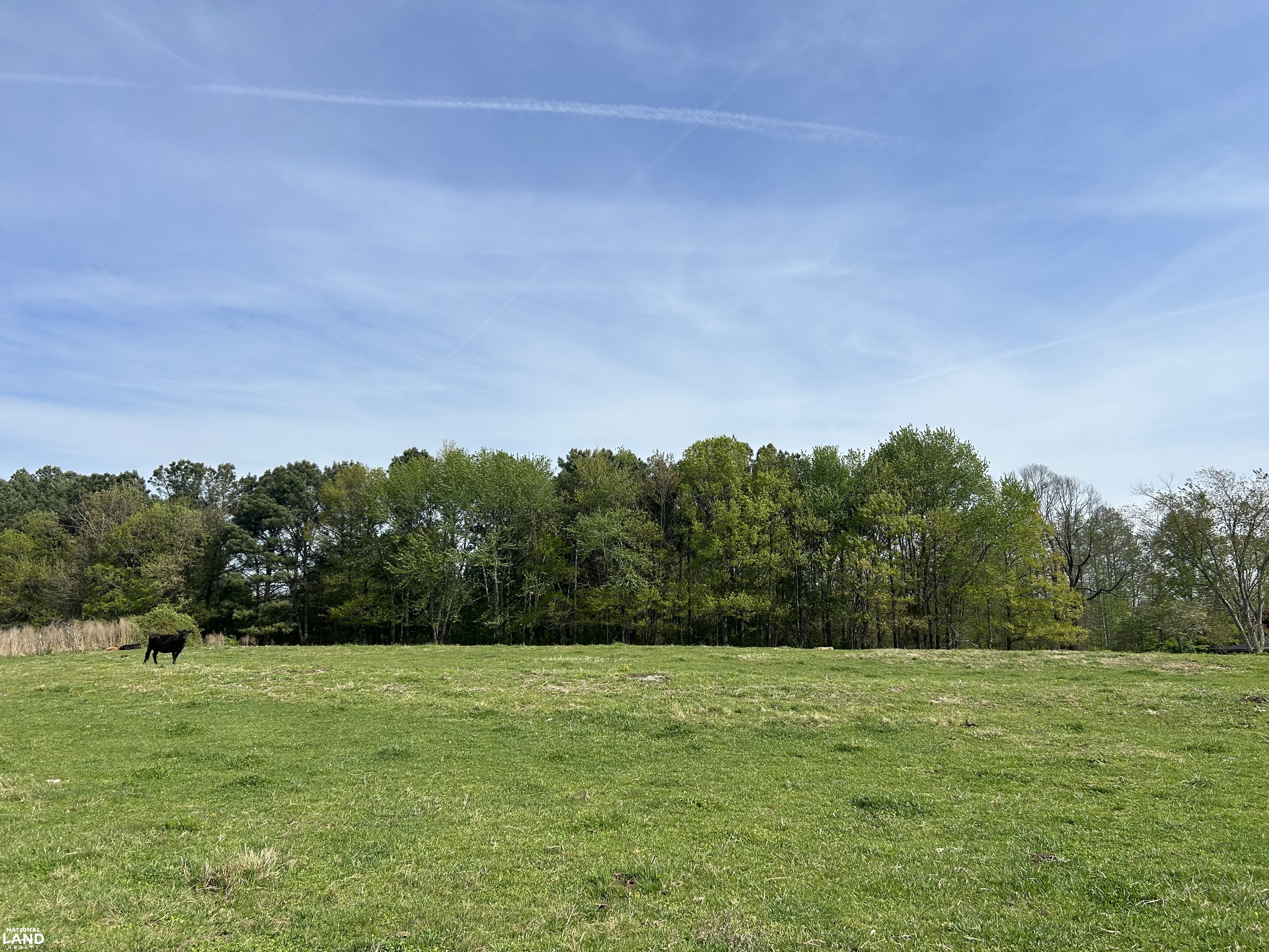 Scenic Pasture Land Near Lake Guntersville in Jackson County, Alabama ...