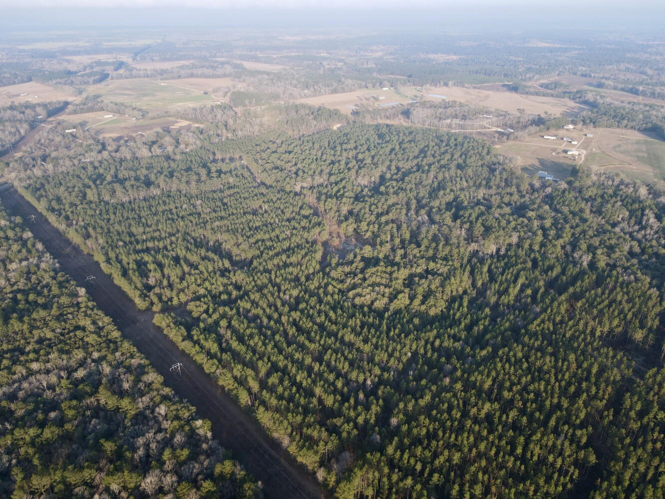 Photo 1 of 13 of land for sale at 0 Pearce Drive #Lot 3, Richton, MS 39476