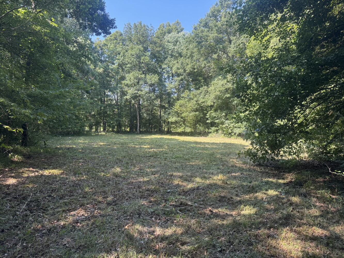 Photo 1 of 50 of land for sale at 0 Troy HWY 231, Montgomery, AL 36166